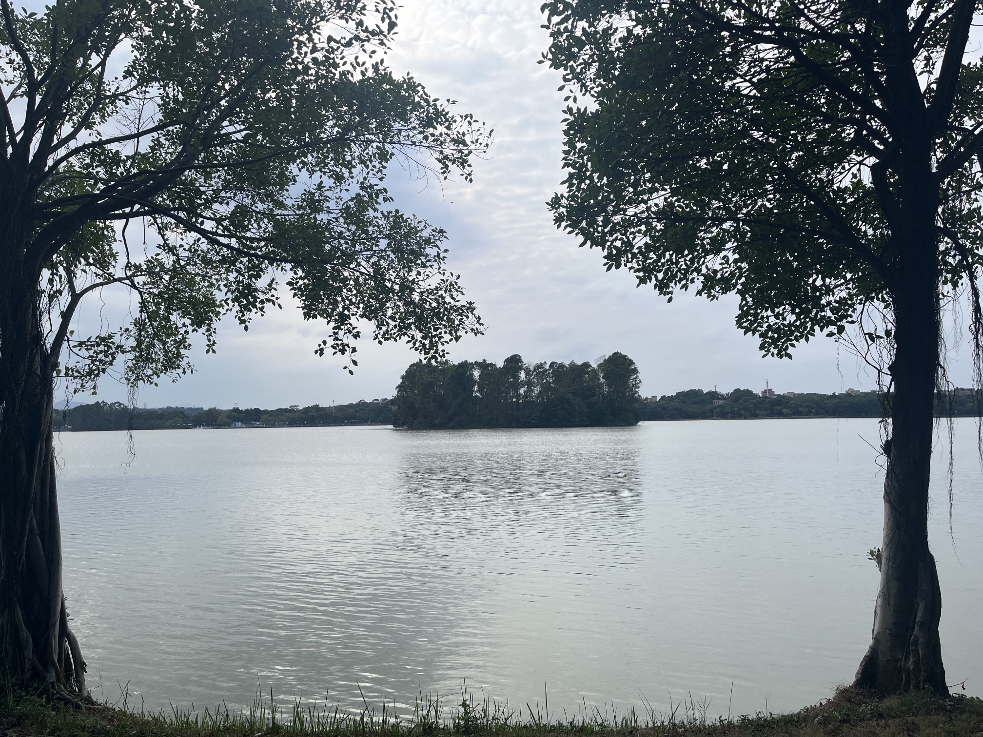 云东海国家湿地公园旅行图片 3