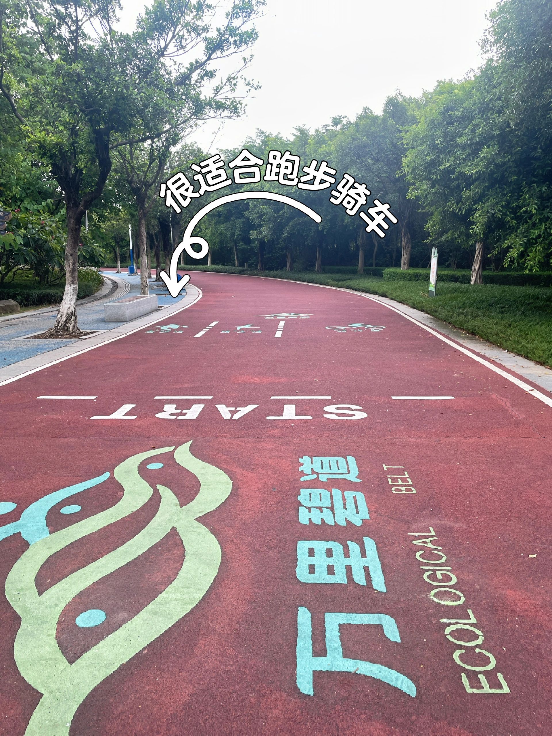云东海国家湿地公园旅行图片 2