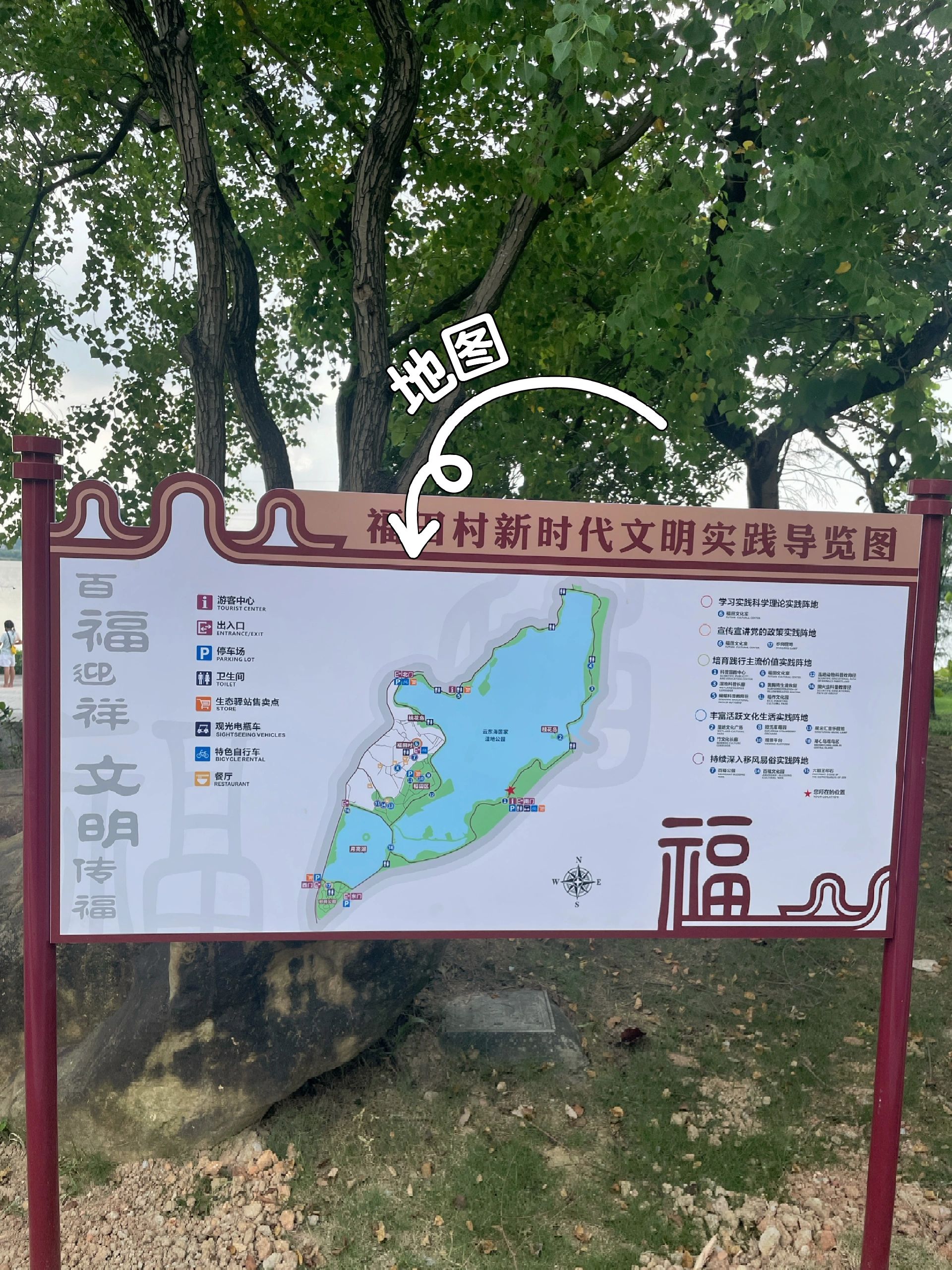 云东海国家湿地公园旅行图片 3