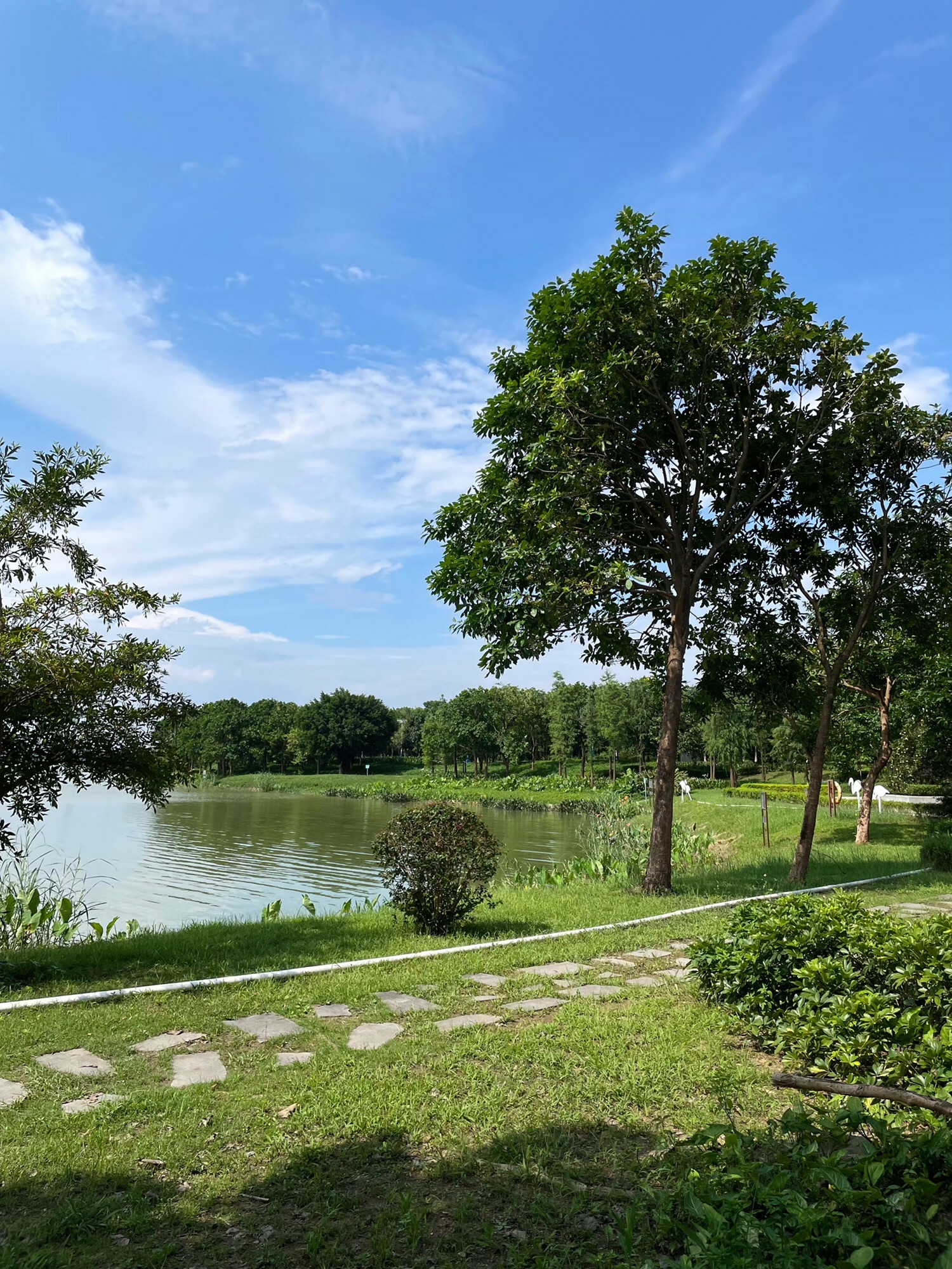 云东海国家湿地公园旅行图片 3