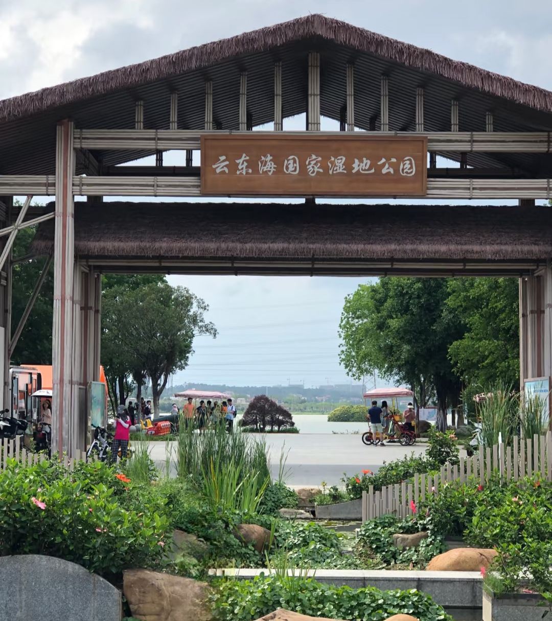 云东海国家湿地公园旅行图片 1