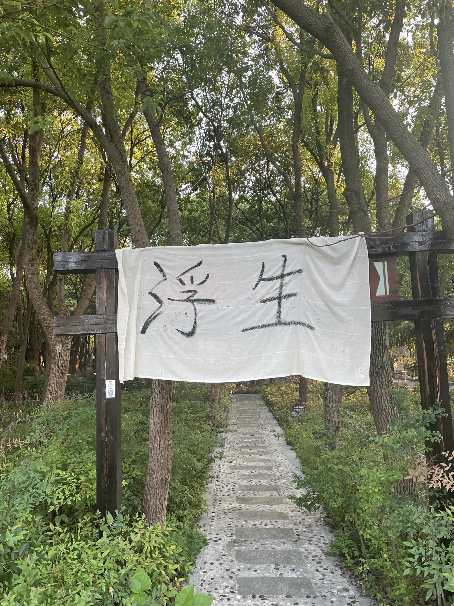 金星旅游景区旅行图片 1