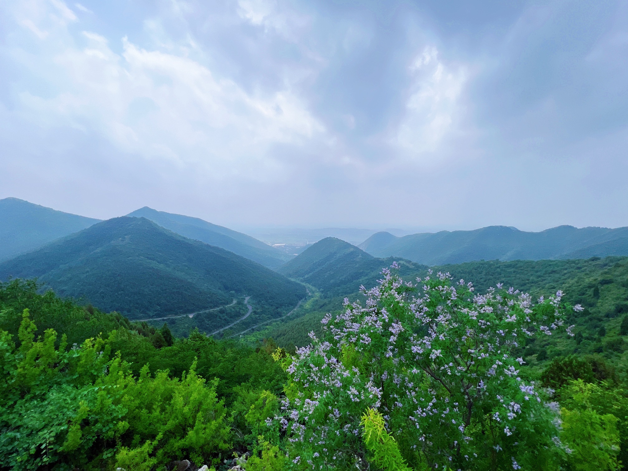 徐流口森林公园