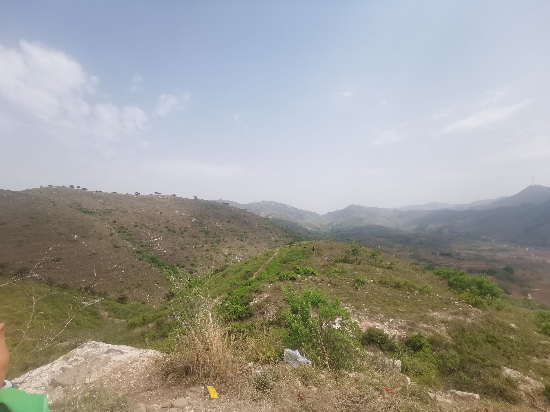 徐流口森林公园旅行图片 3