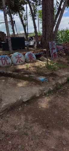 优乐美小广场旅行图片 3