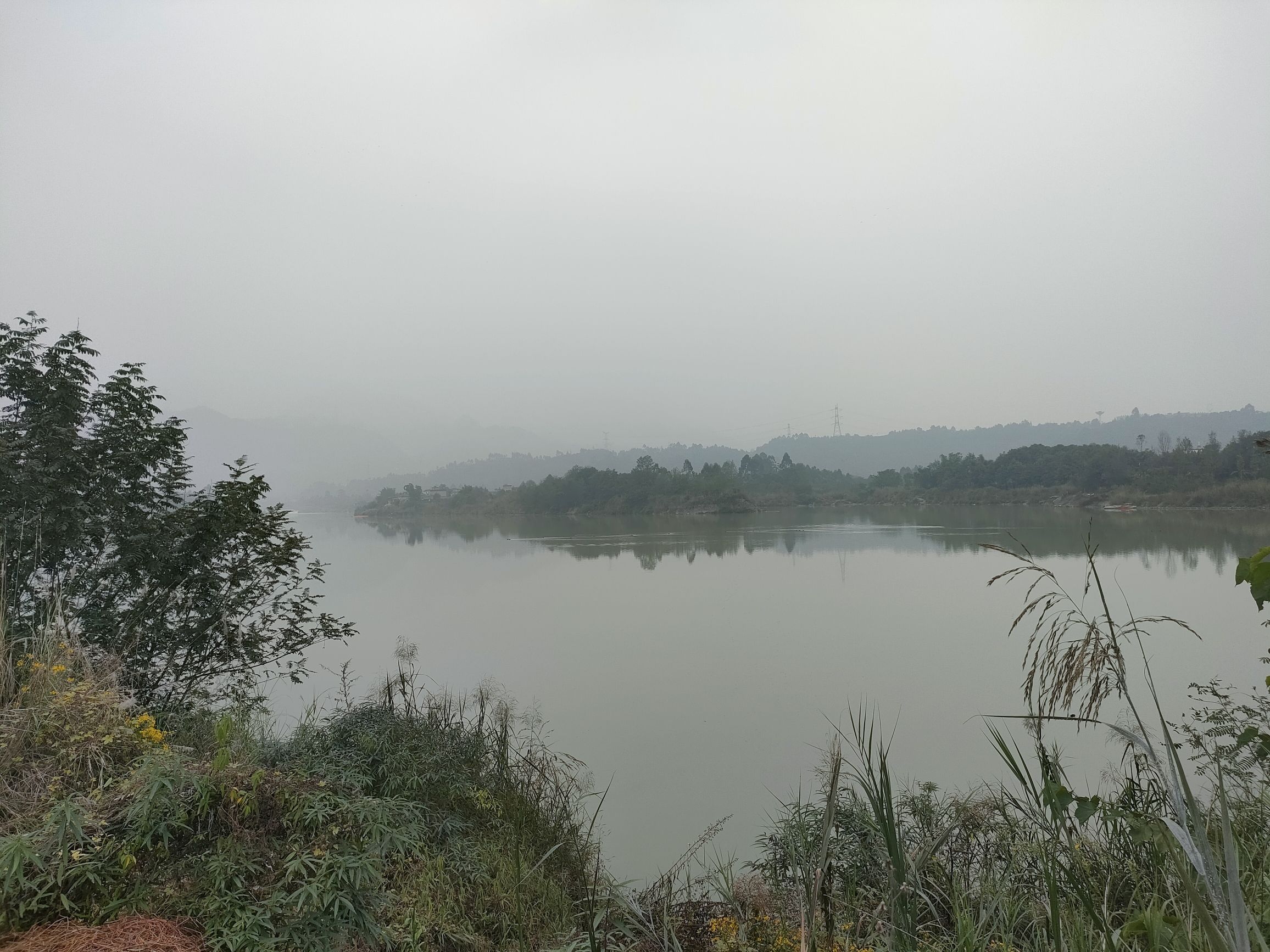 大渡河湿地公园旅行图片 1