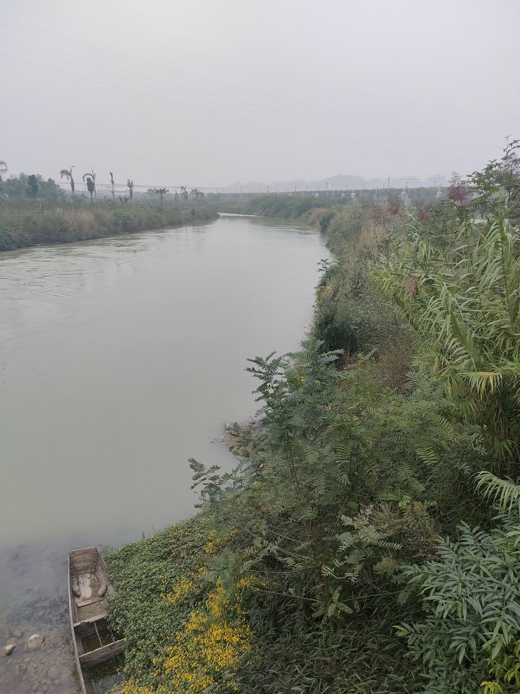 大渡河湿地公园旅行图片 3