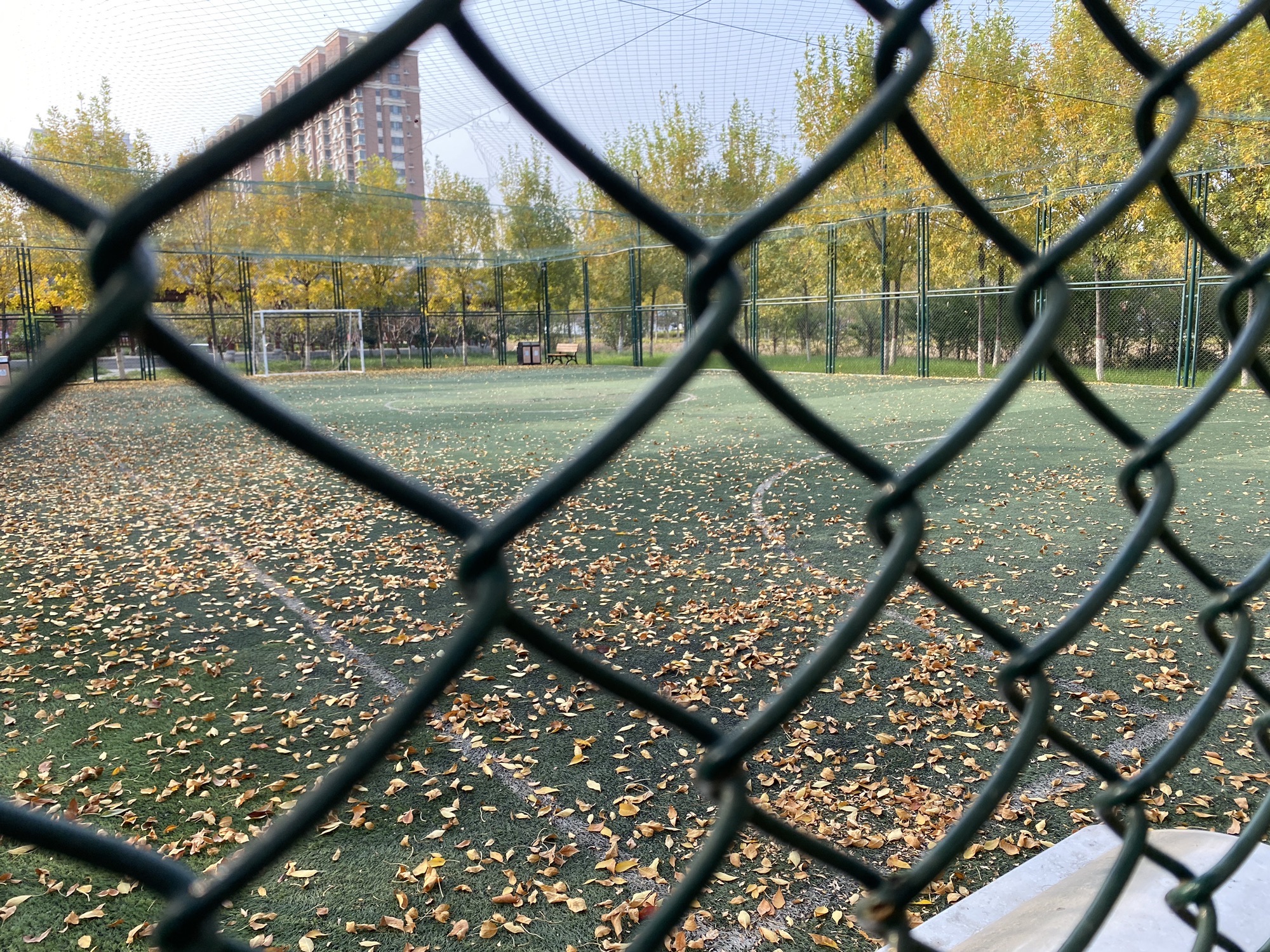博雅公园旅行图片 3