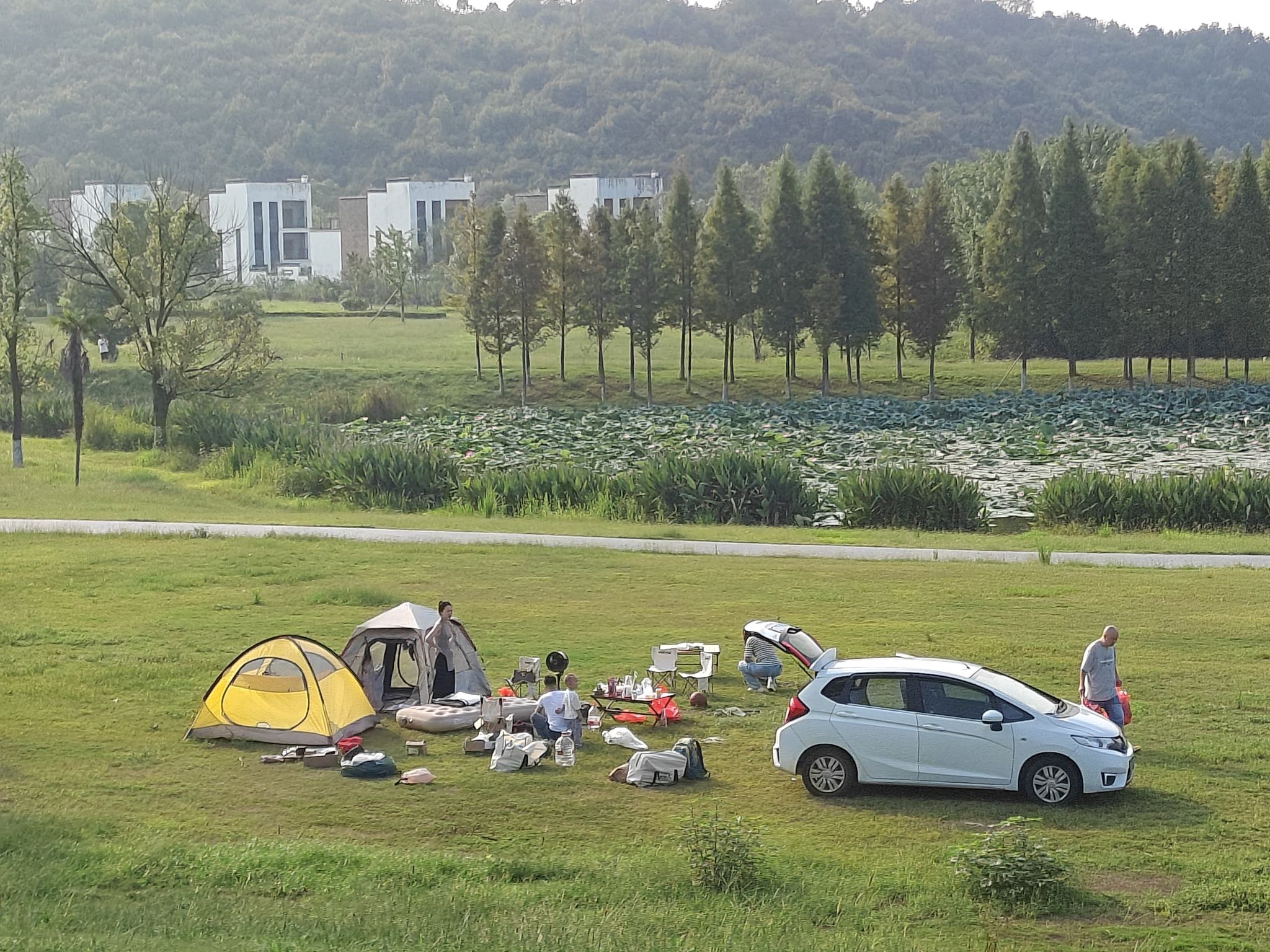 龙山湖公园旅行图片 1