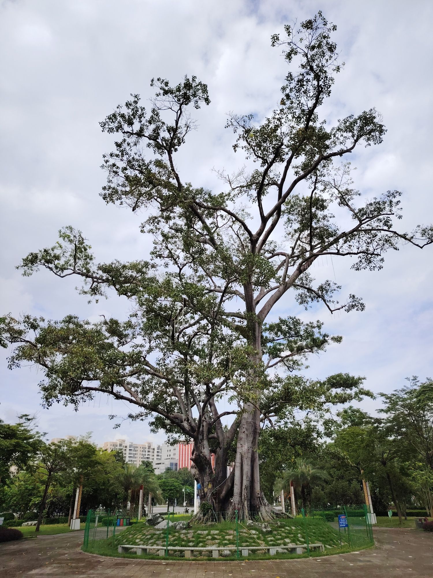 崇左市法治公园旅行图片 3