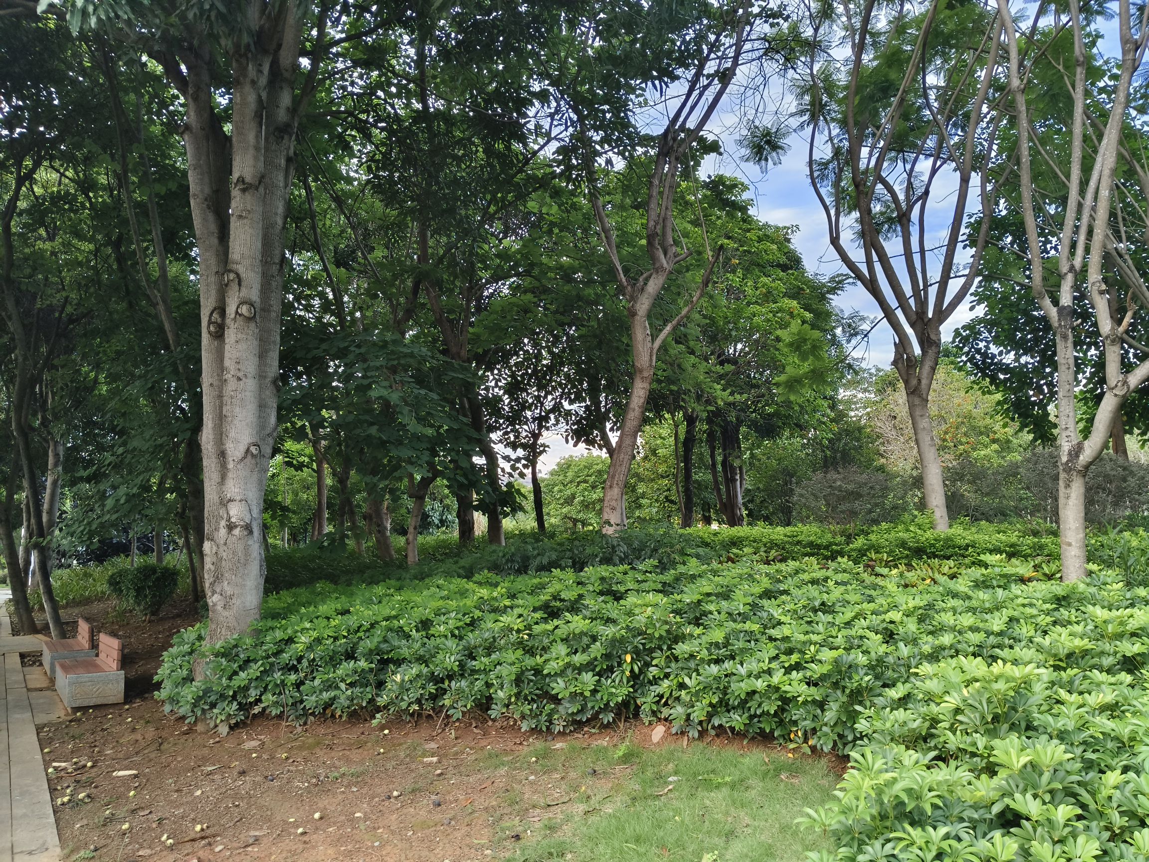崇左市法治公园