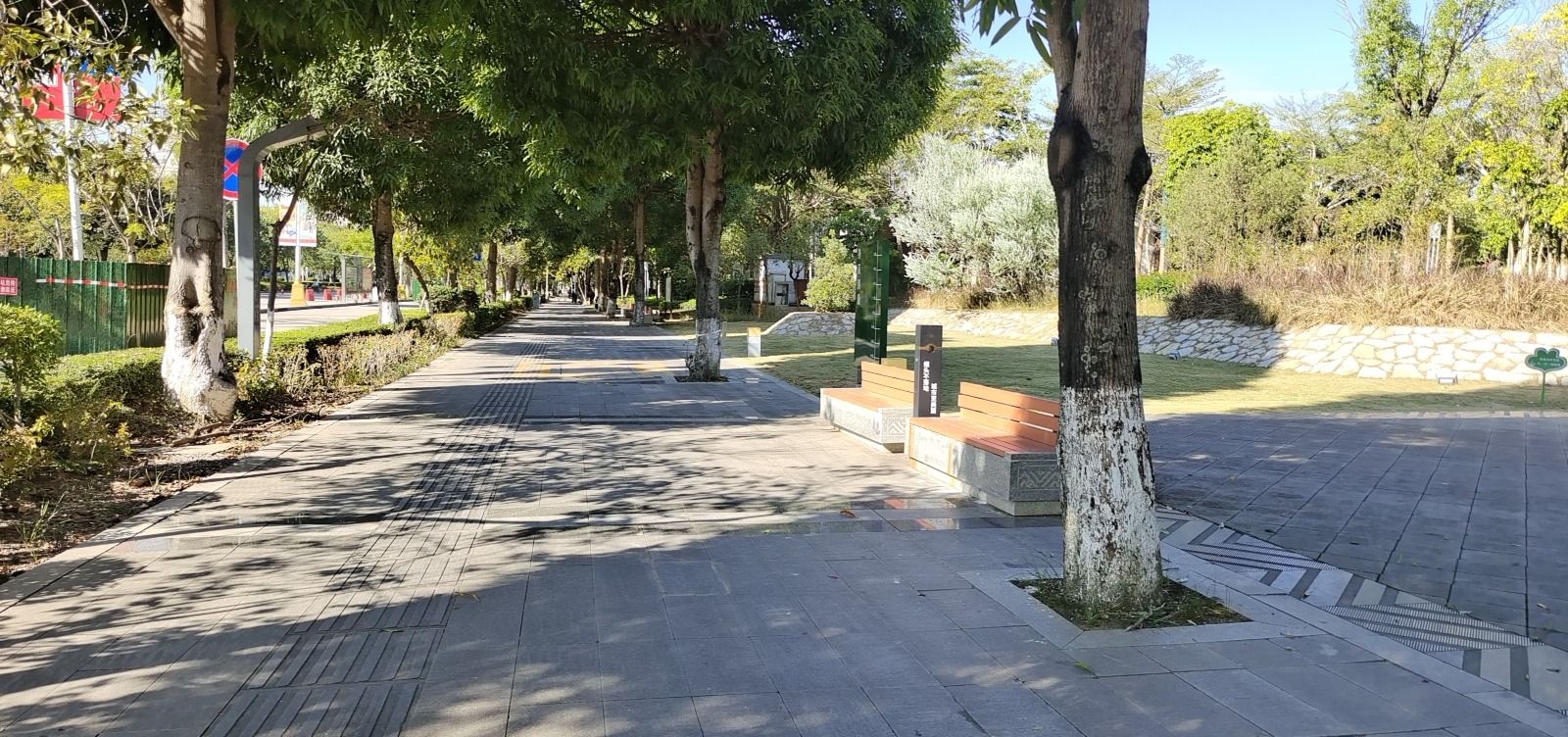 崇左市法治公园旅行图片 1