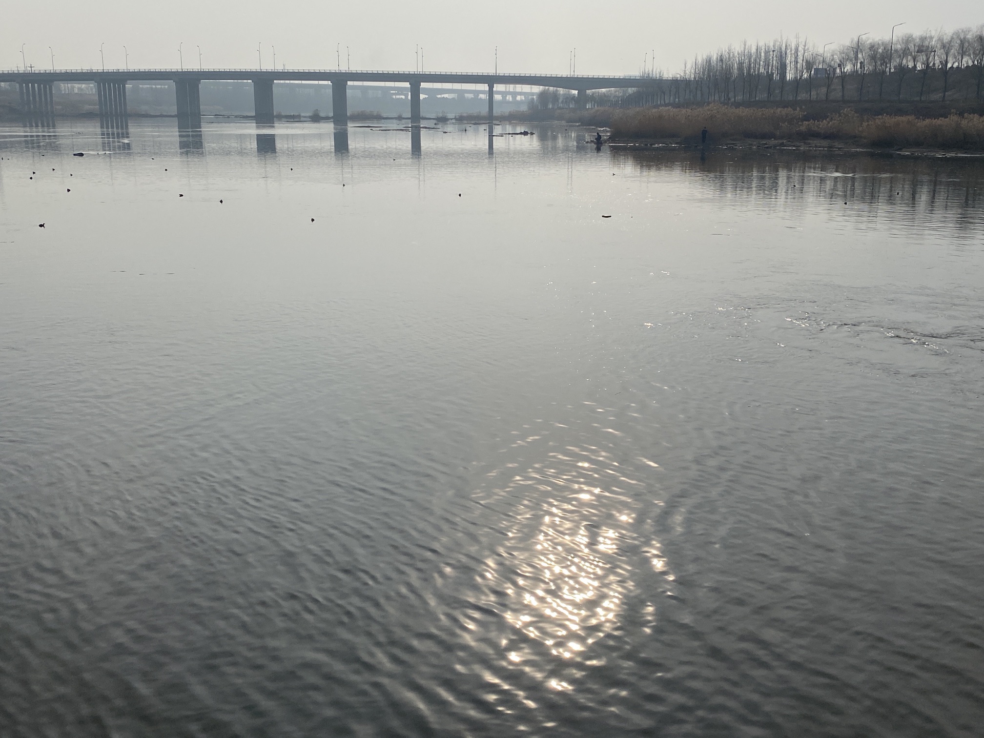 金口坝旅行图片 2