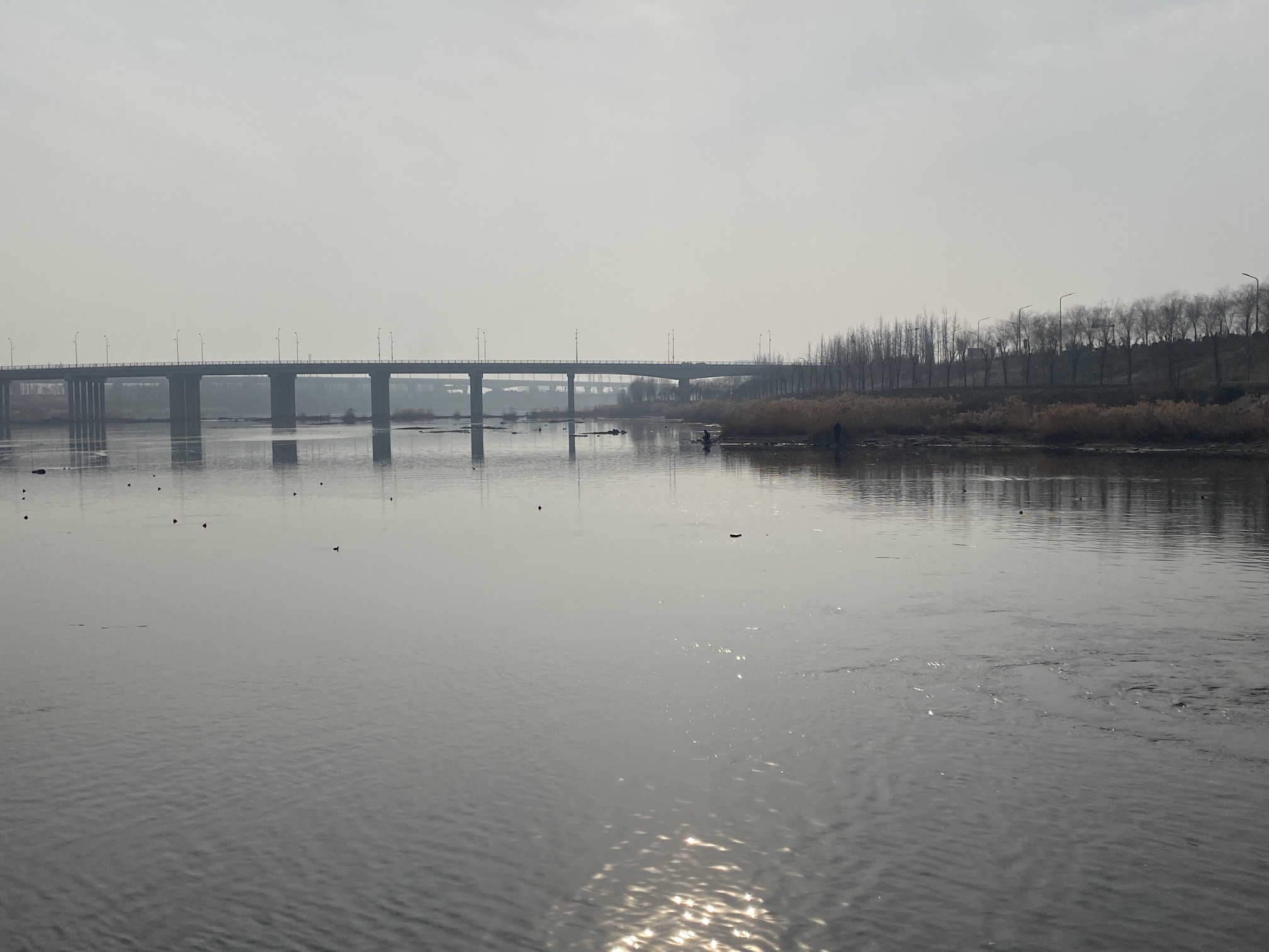 金口坝旅行图片 3