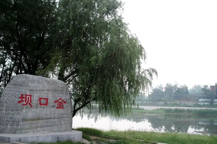 金口坝旅行图片 2