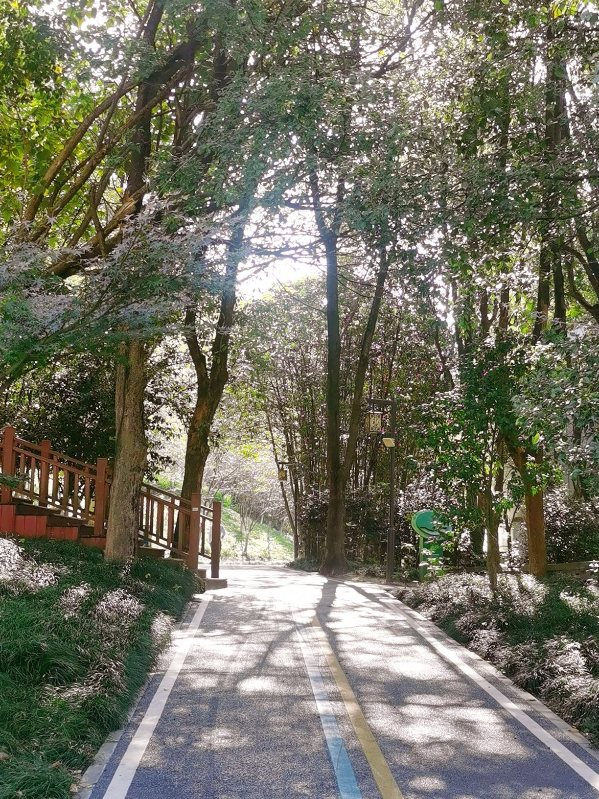 赤龙山环山绿道公园旅行图片 2
