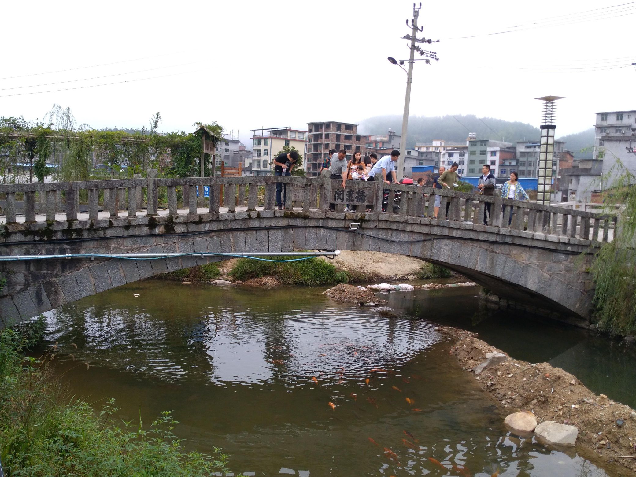 古镇鲤鱼文化园旅行图片 1