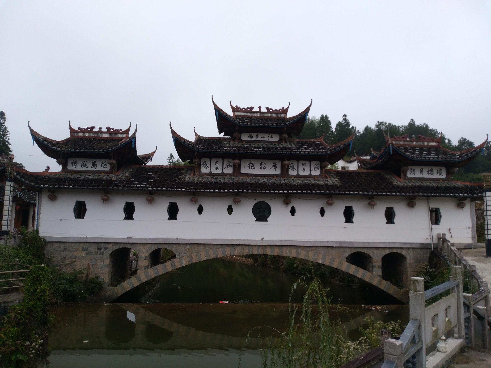 古镇鲤鱼文化园旅行图片 2
