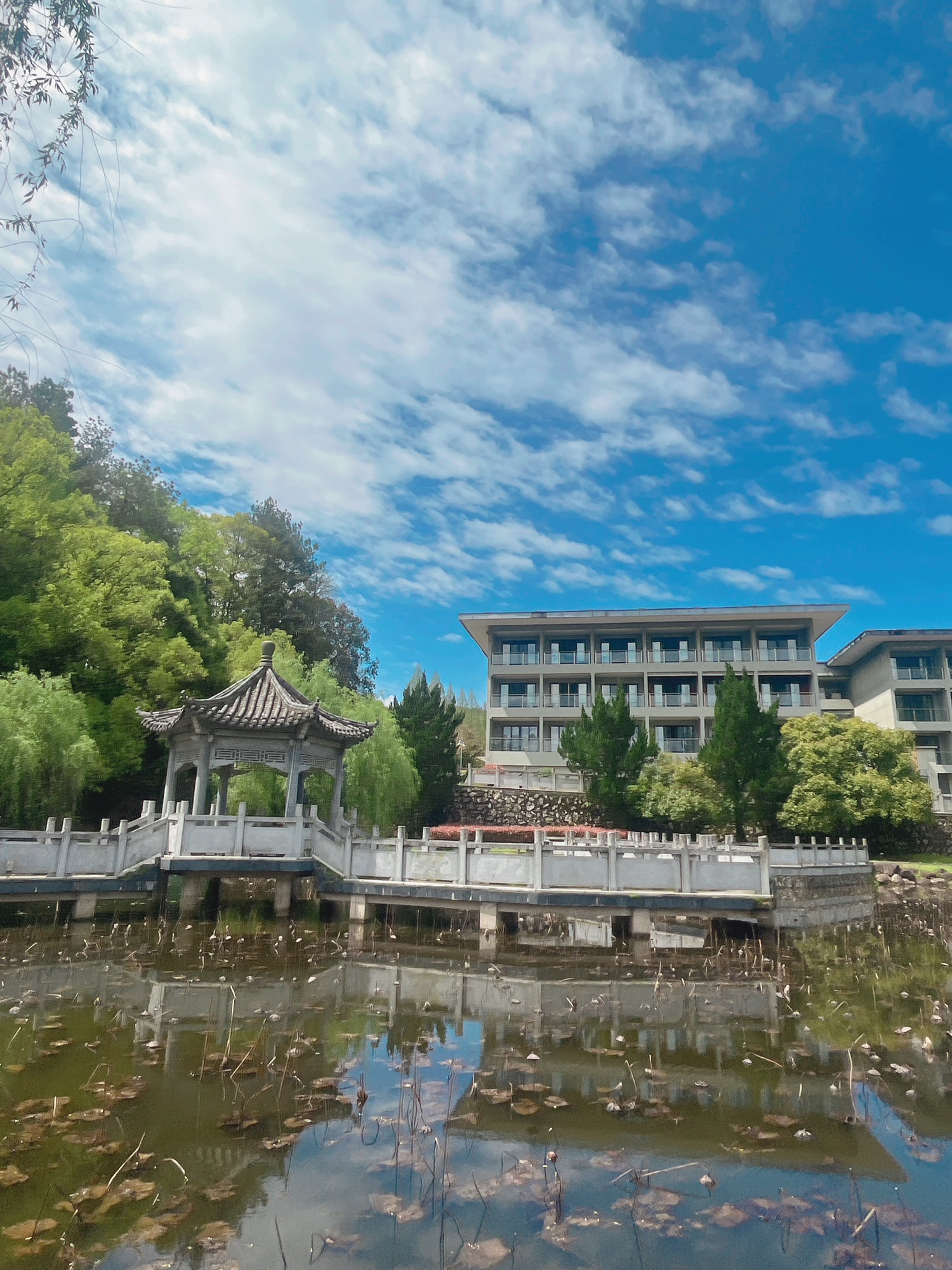 银鹿森林公园旅行图片