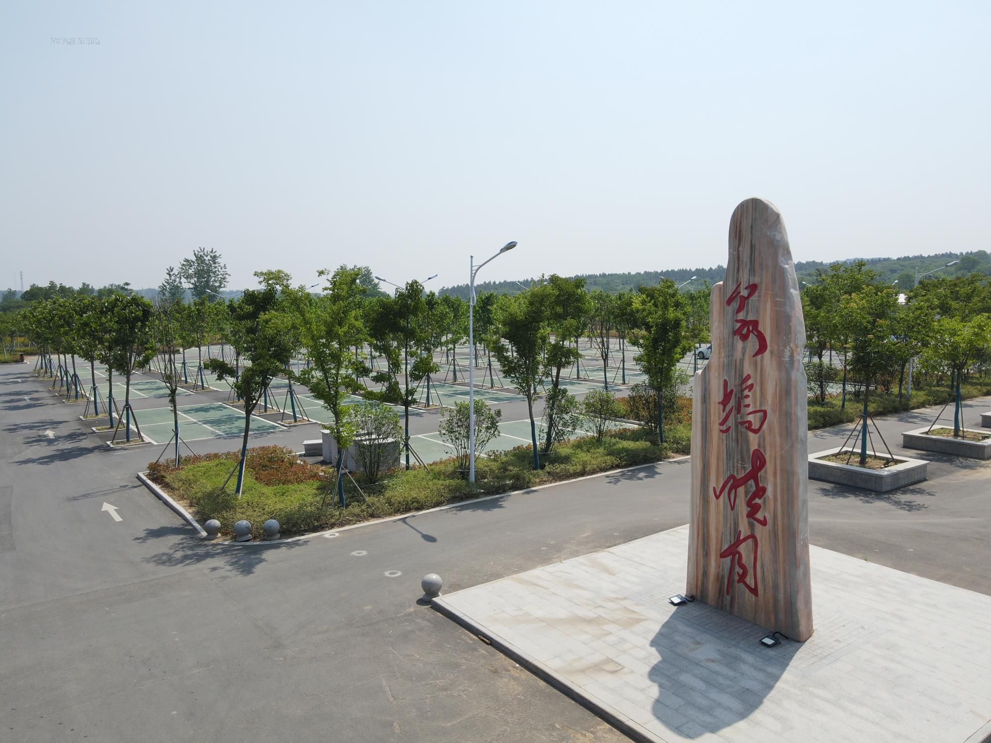 泉坞山森林公园旅行图片 2