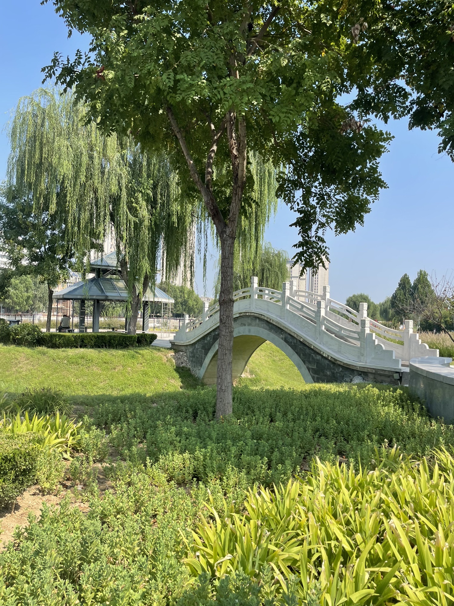 牛尾河公园旅行图片 3