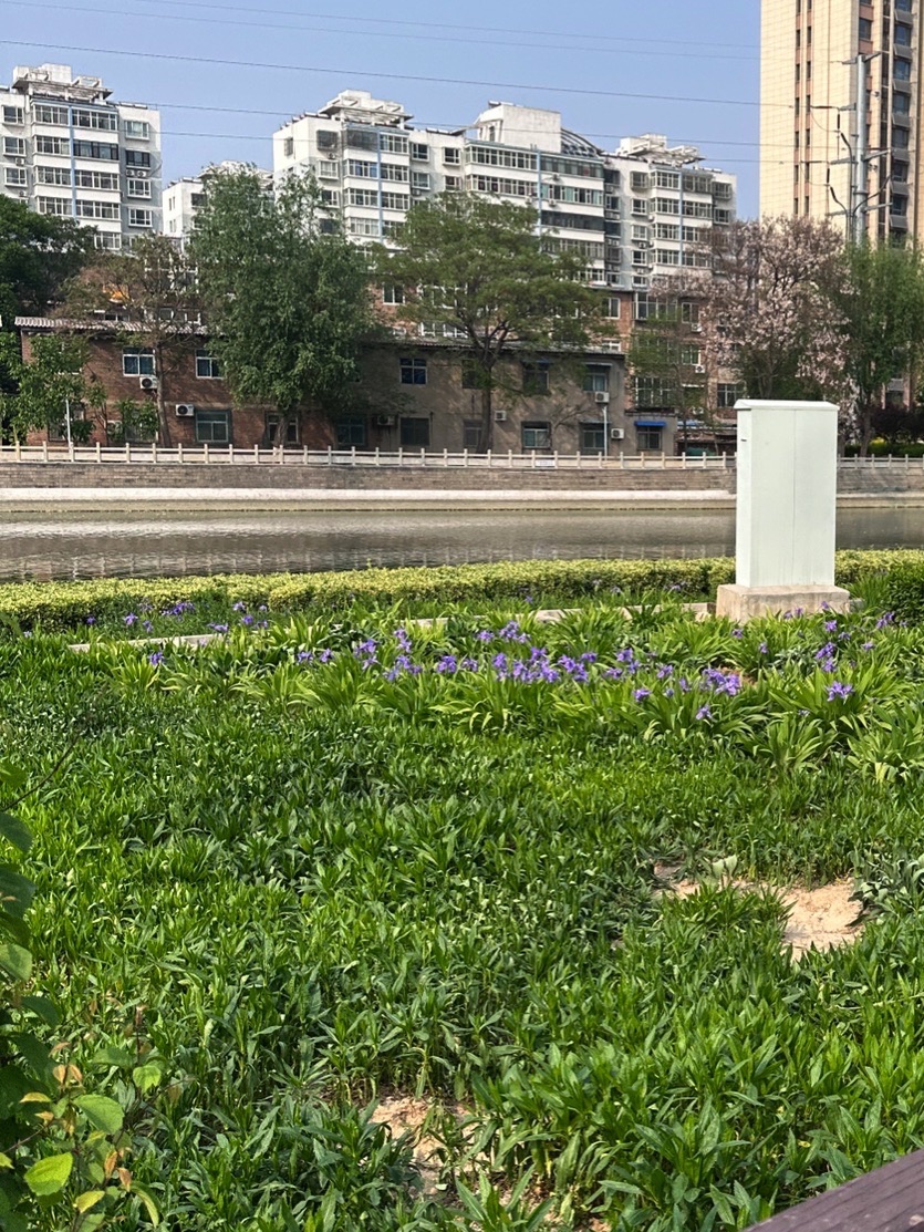 牛尾河公园旅行图片 1