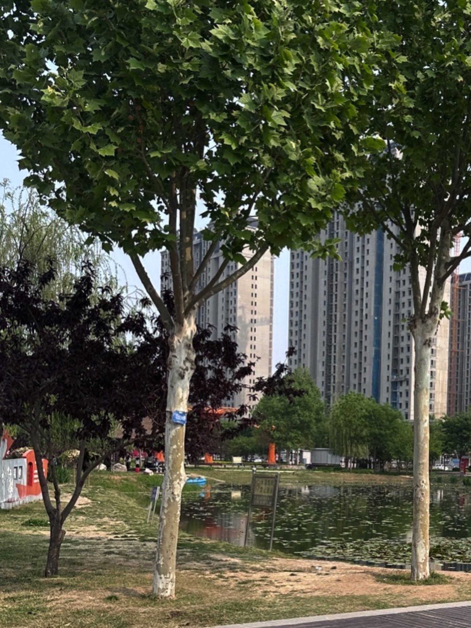 牛尾河公园旅行图片 3