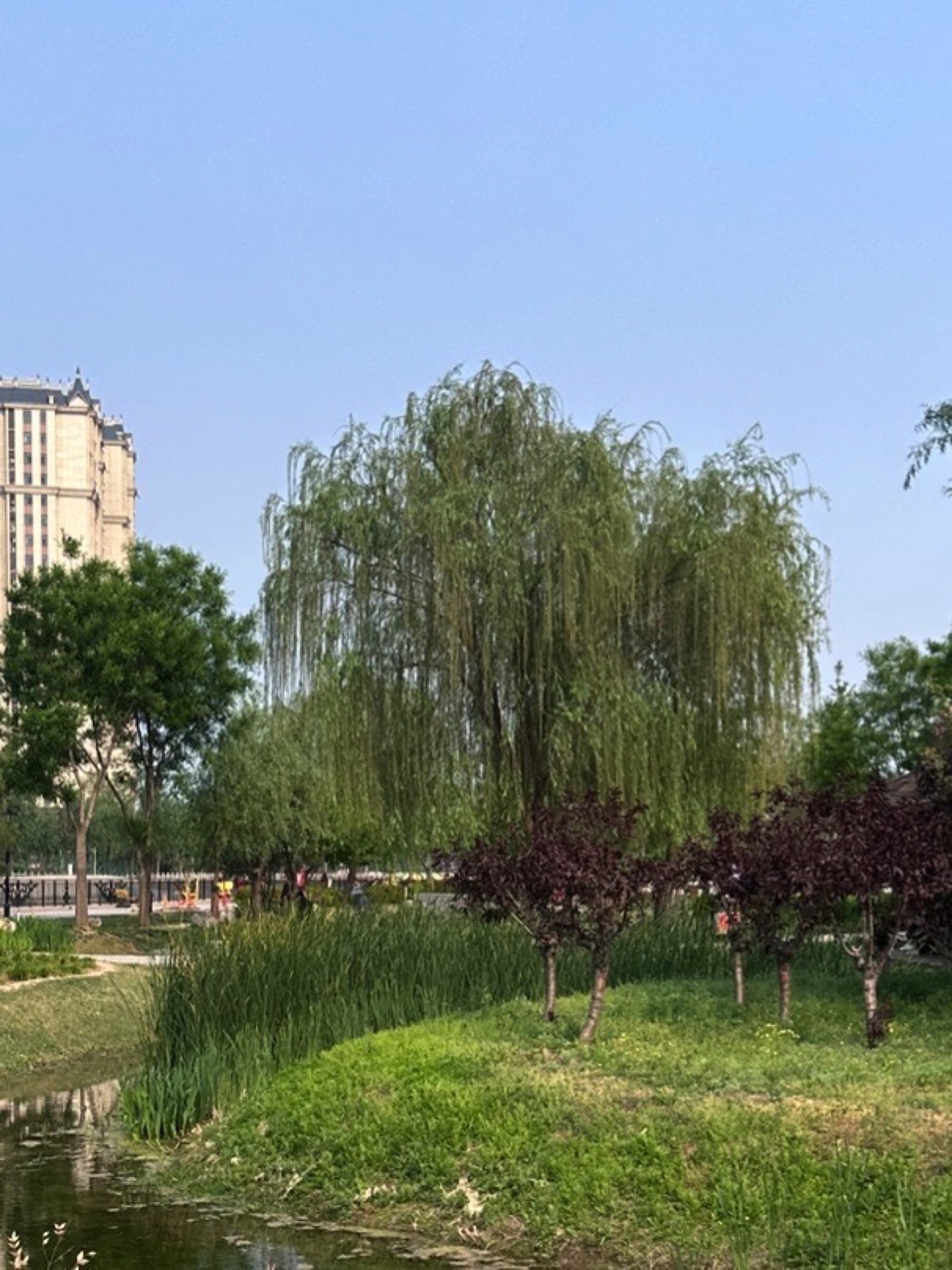 牛尾河公园旅行图片 1