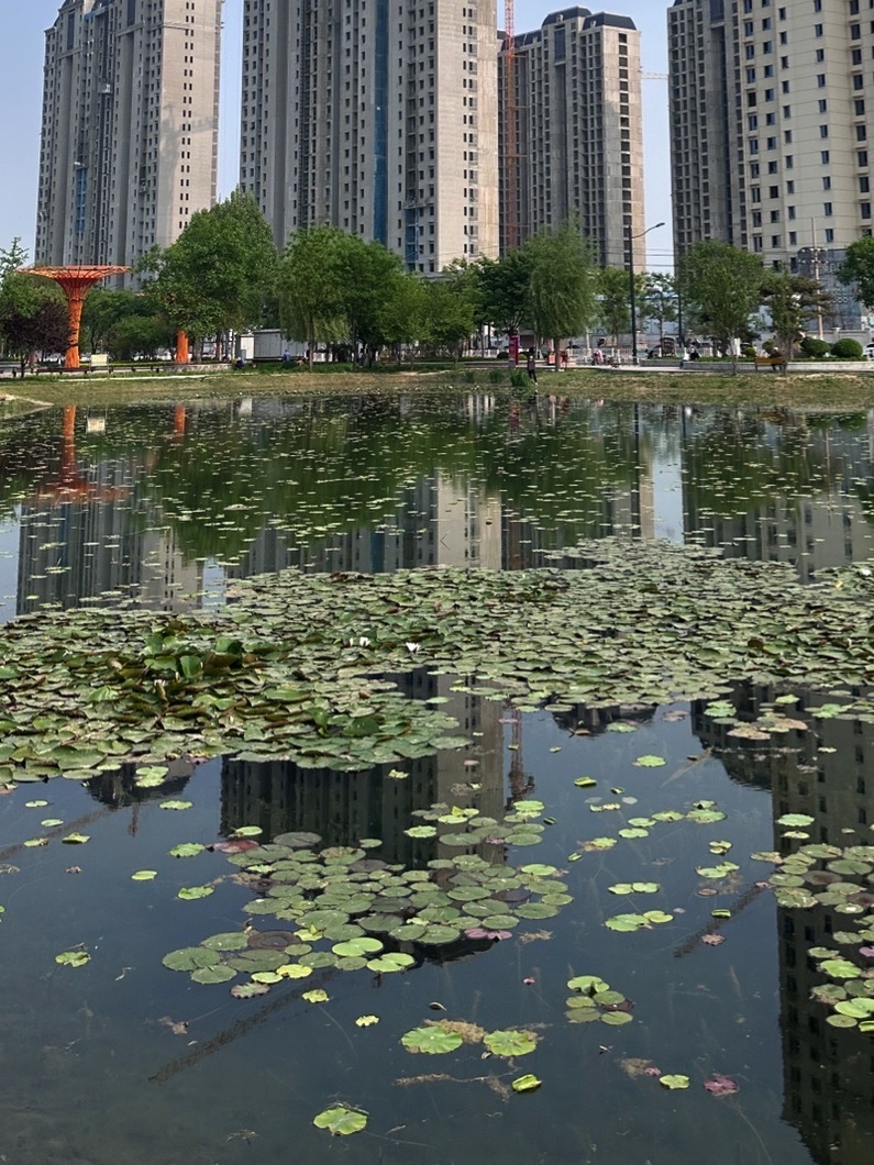 牛尾河公园旅行图片 2