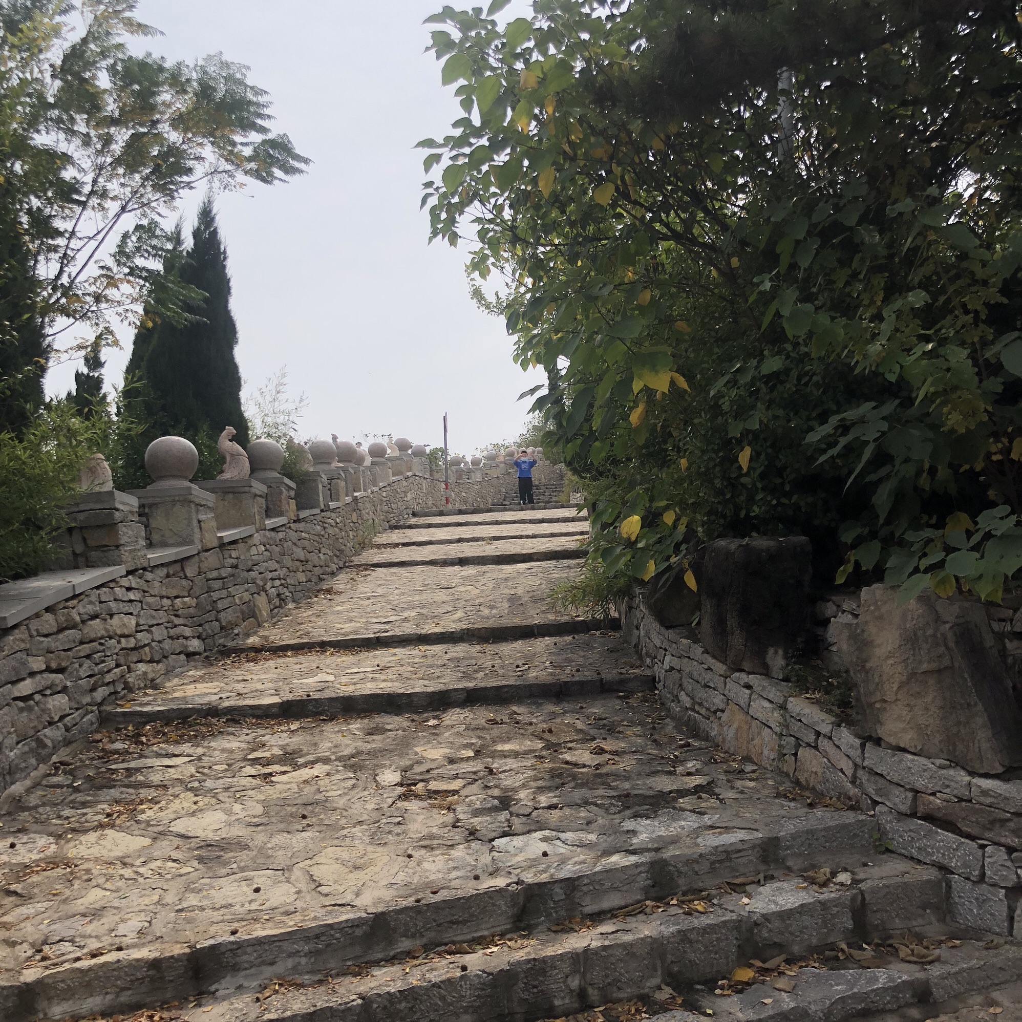 凤凰山风景区旅行图片 2