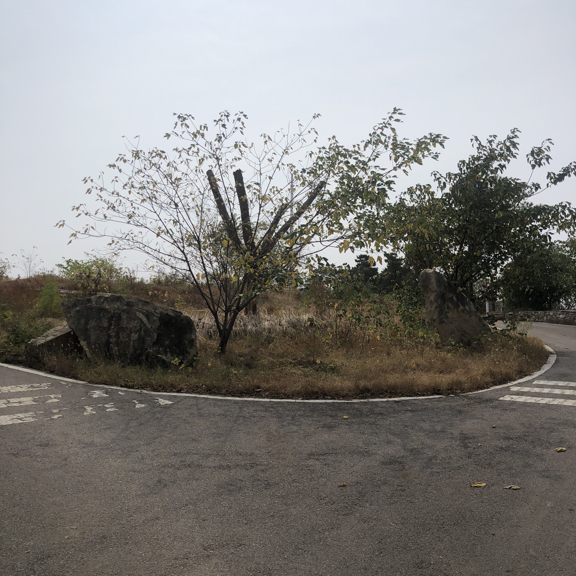 凤凰山风景区旅行图片 3