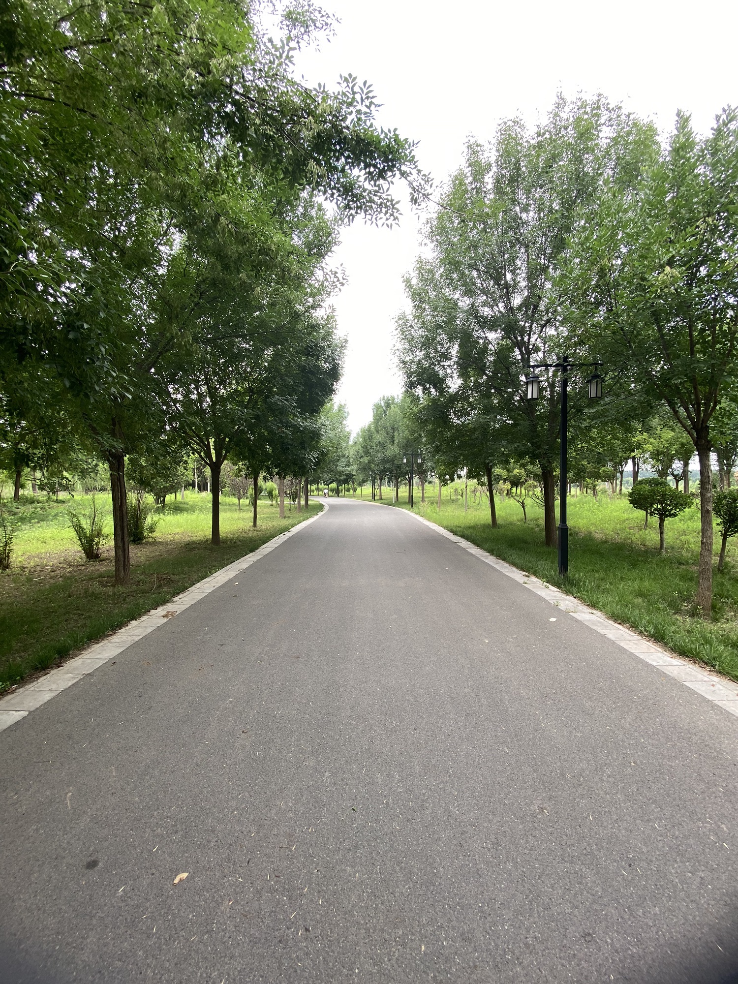 张清丰孝道园旅行图片 1