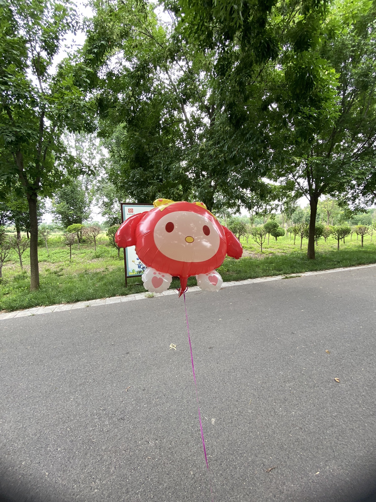 张清丰孝道园旅行图片 2