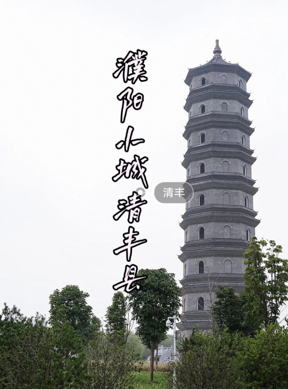 张清丰孝道园旅行图片 2