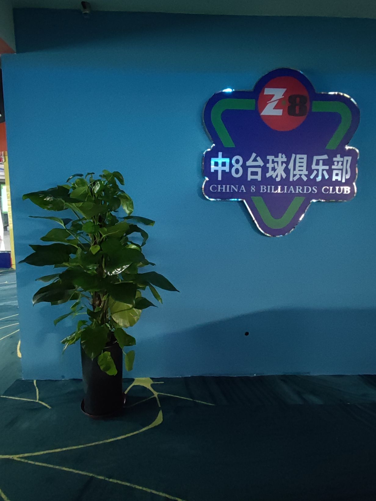 中8台球俱乐部(中天广场店)