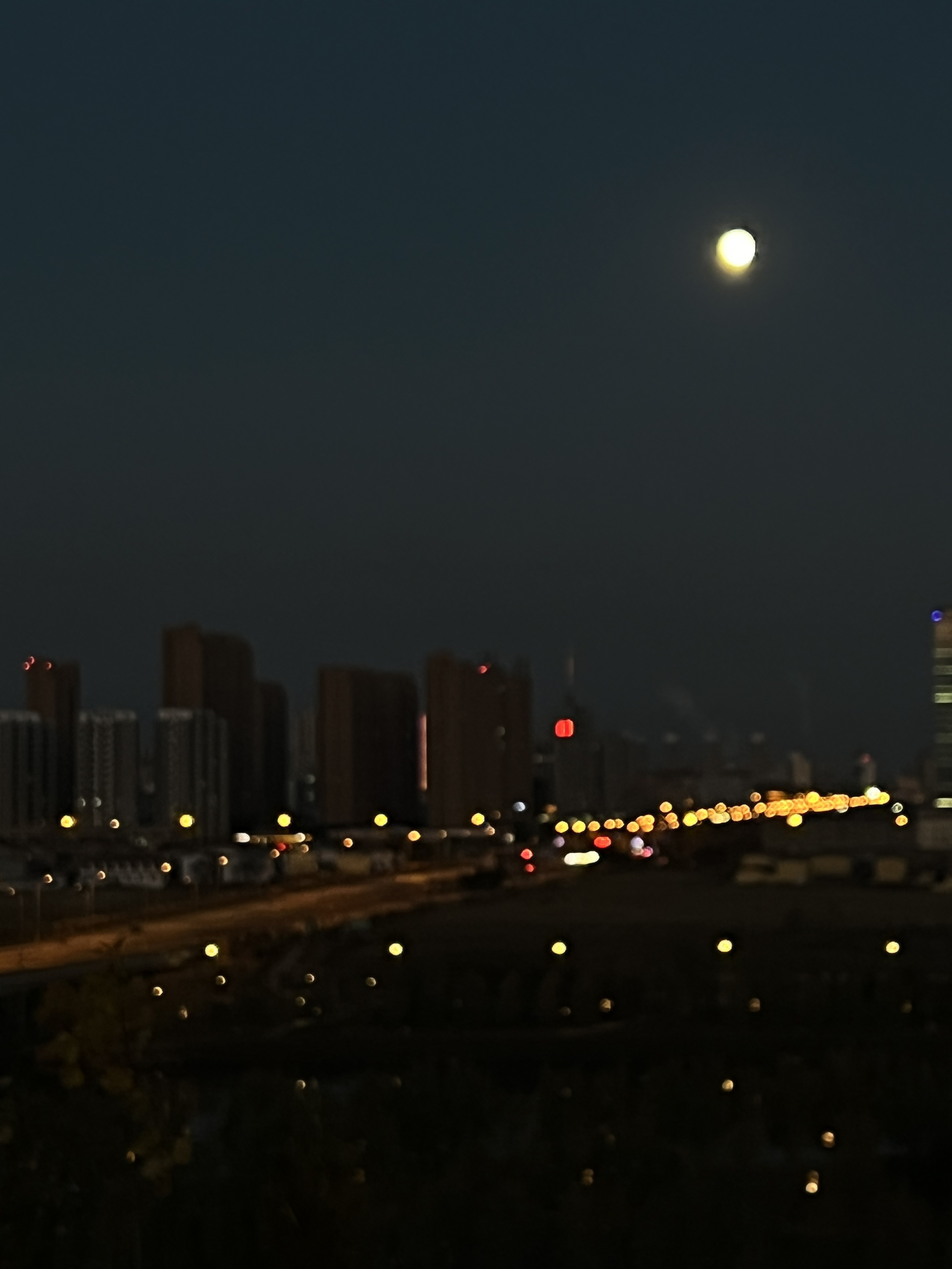 沣汇公园旅行图片 3