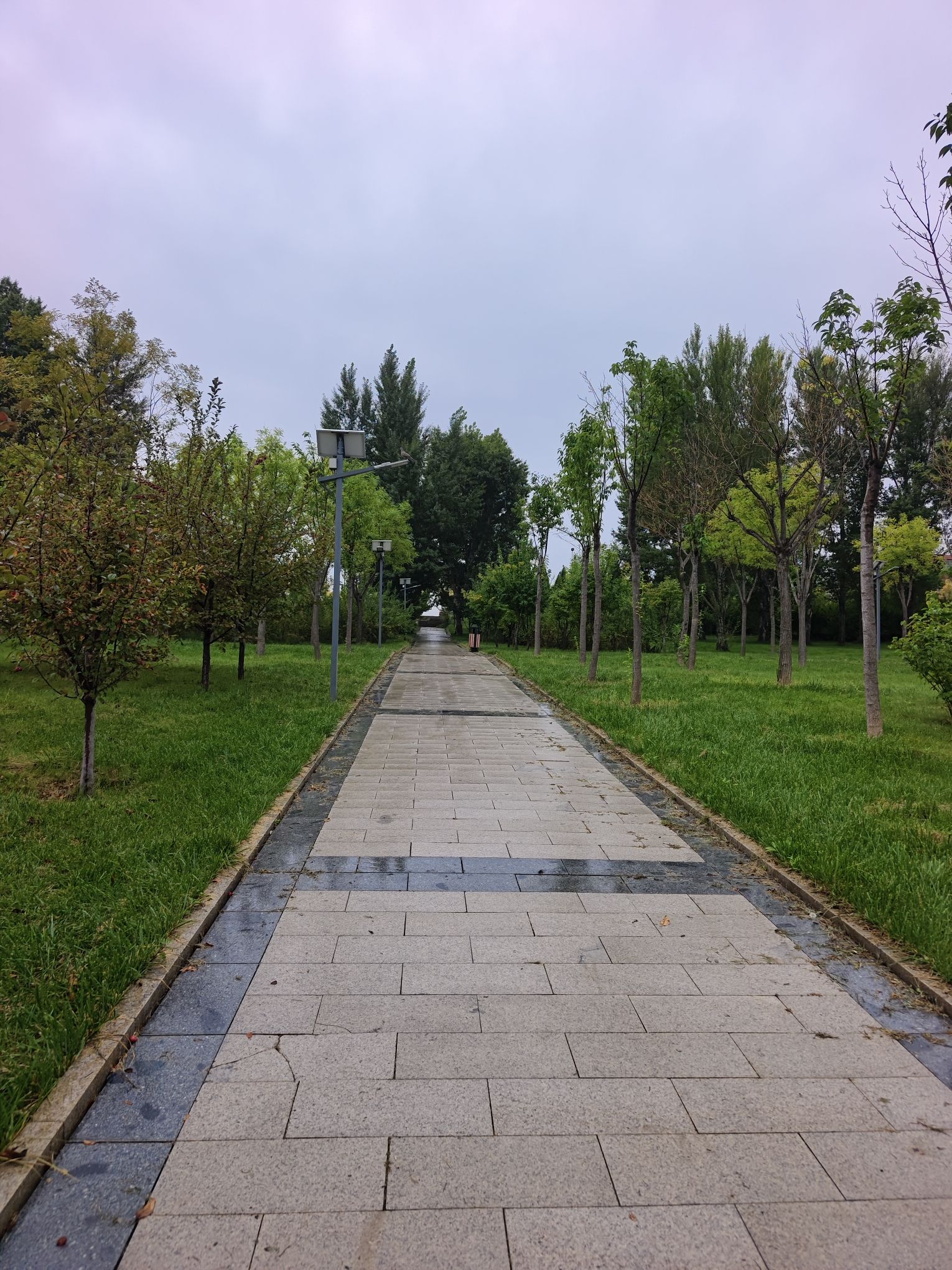 沣汇公园旅行图片 1