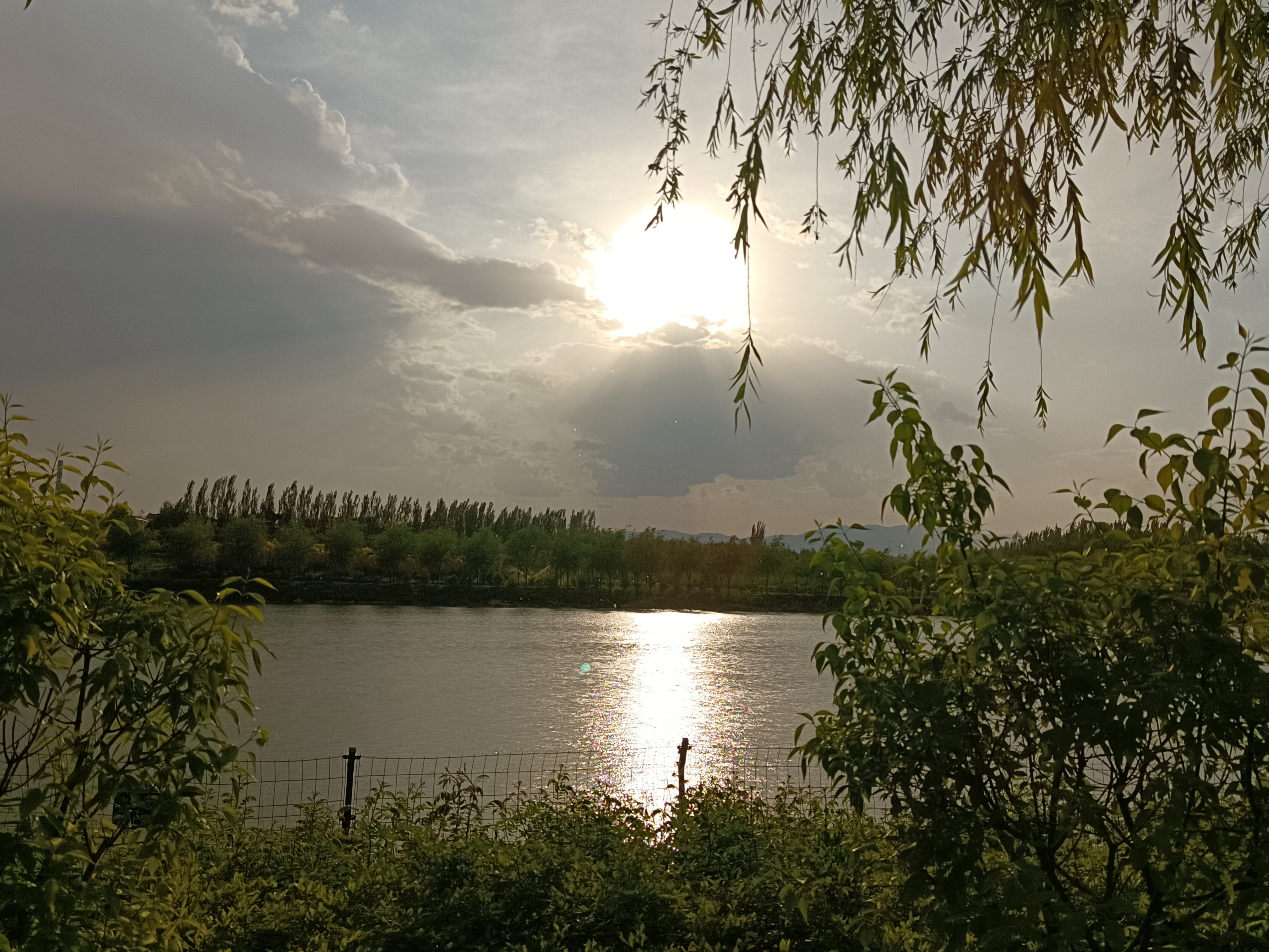 沣汇公园旅行图片 3