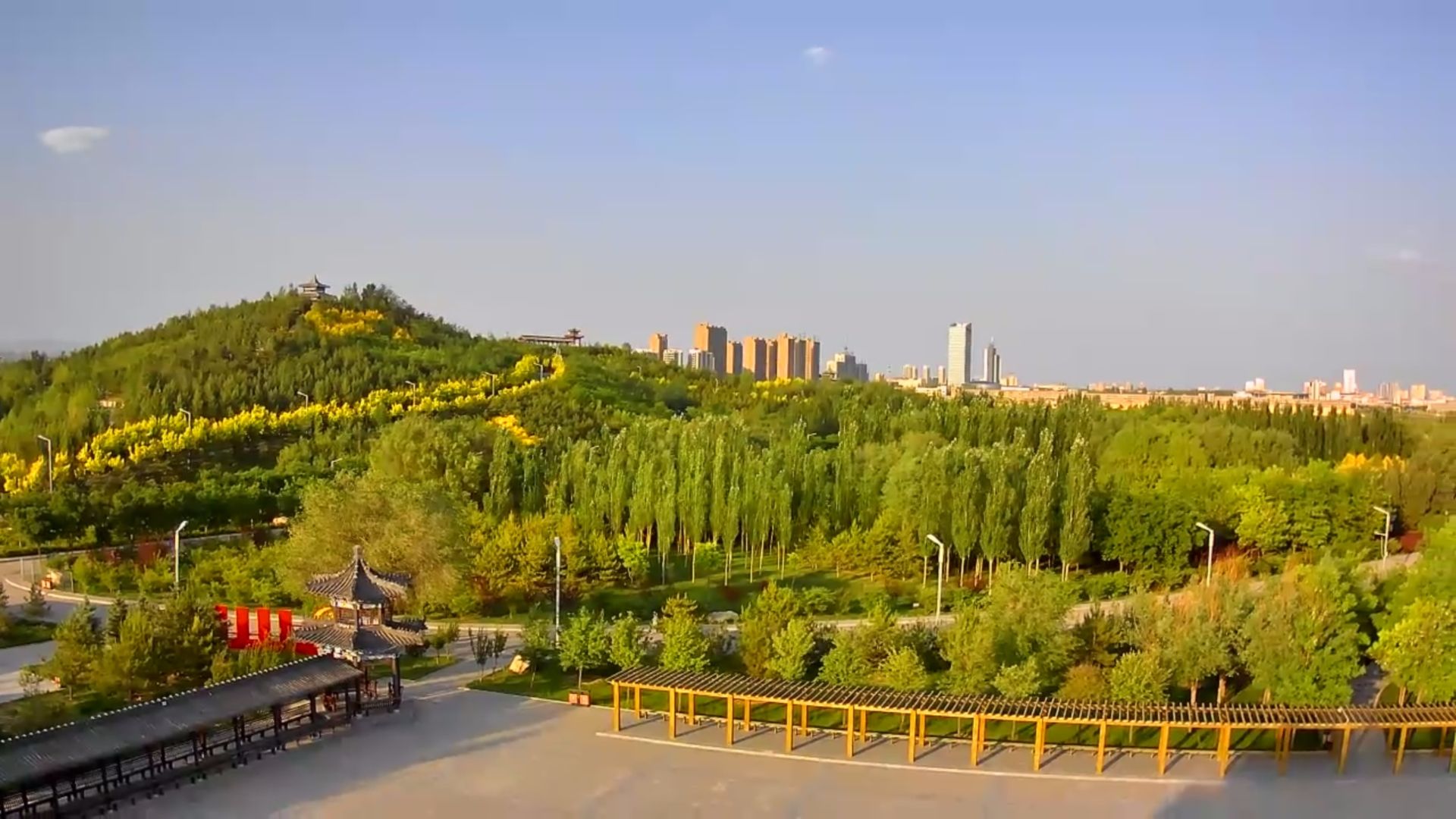沣汇公园旅行图片 1