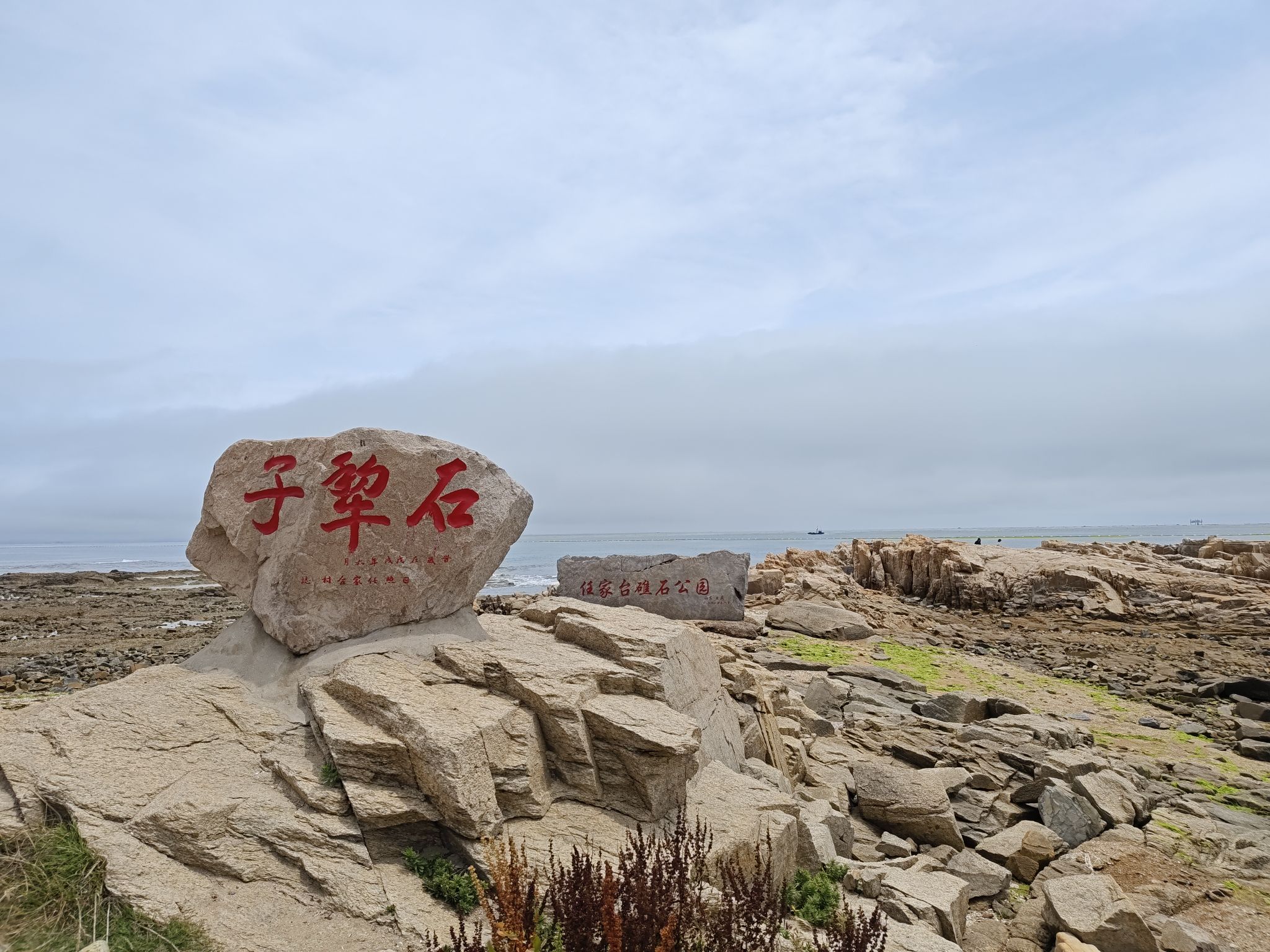 任家台赶海园旅行图片 3