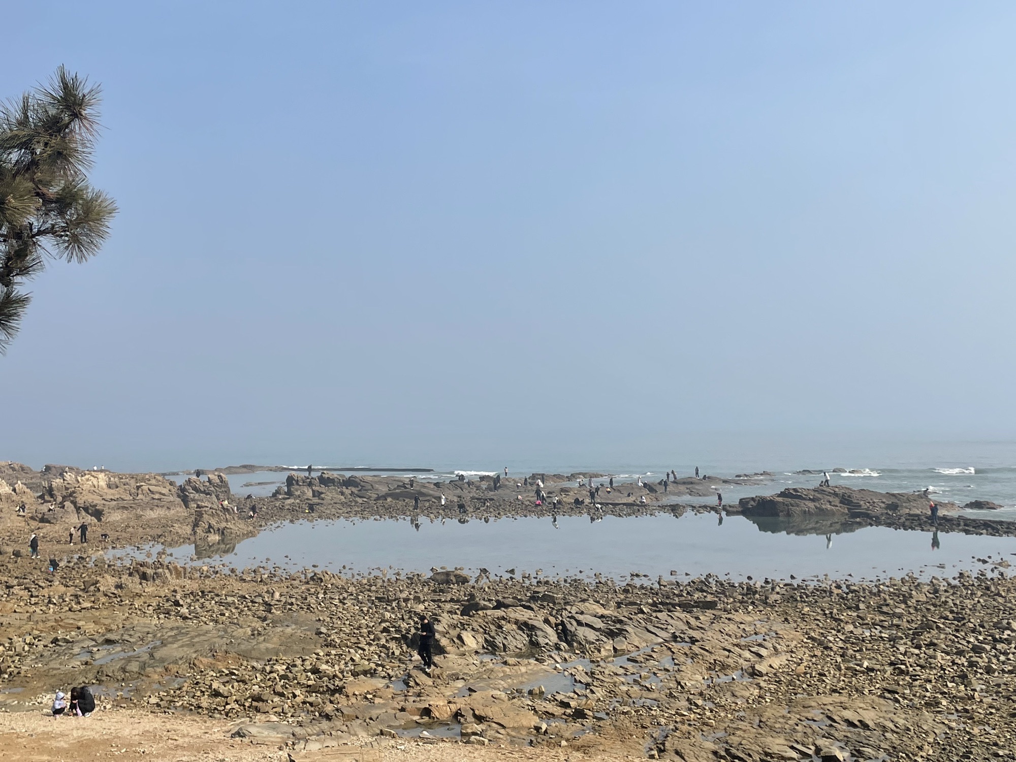 任家台赶海园旅行图片 3