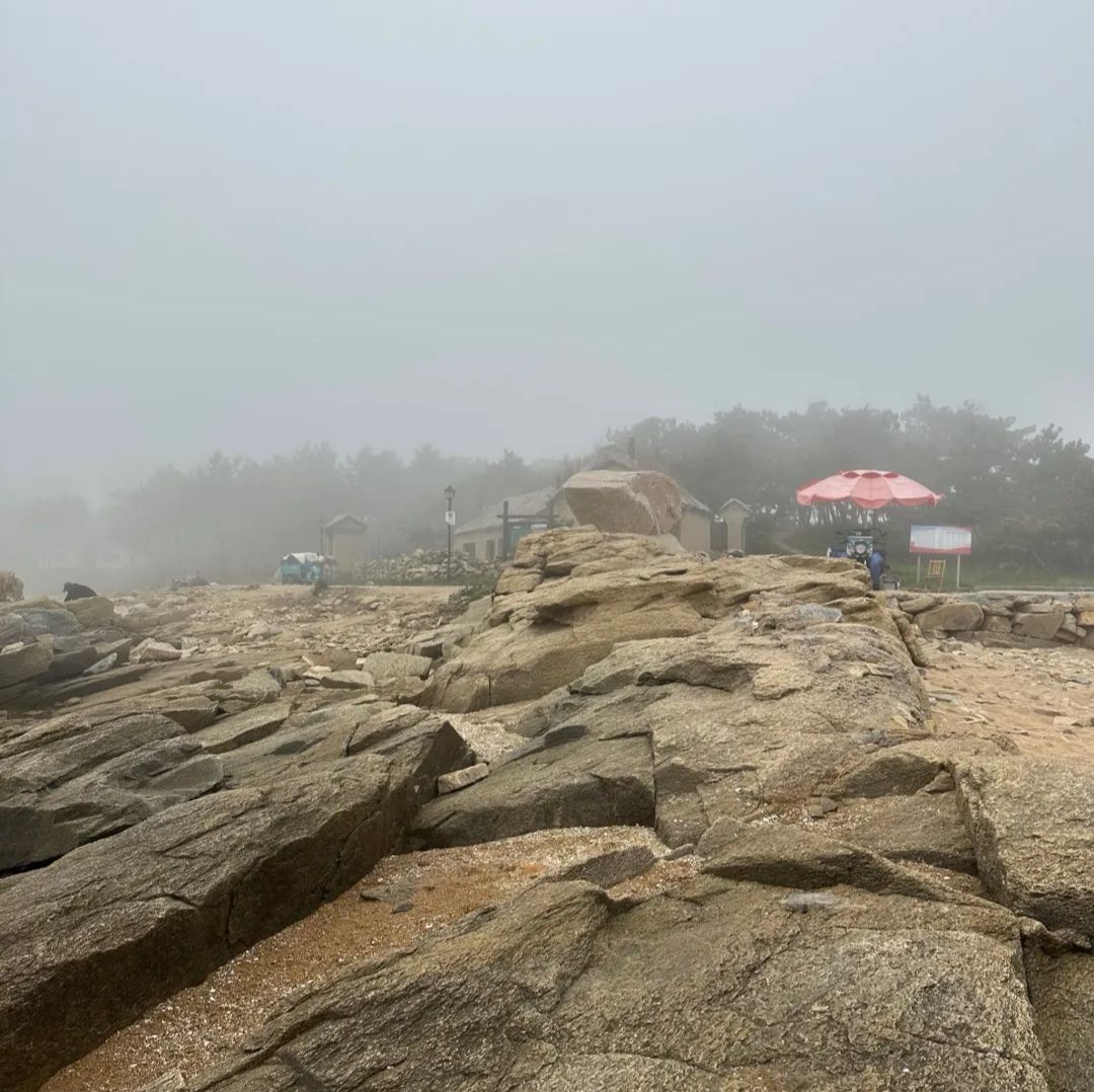 任家台赶海园旅行图片 3