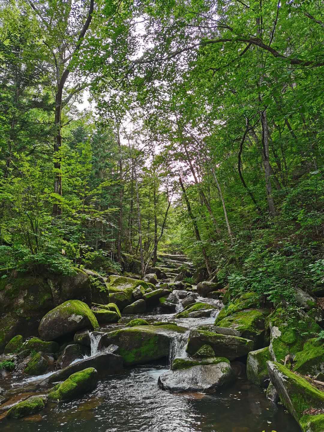 魅力溪谷景区旅行图片 2