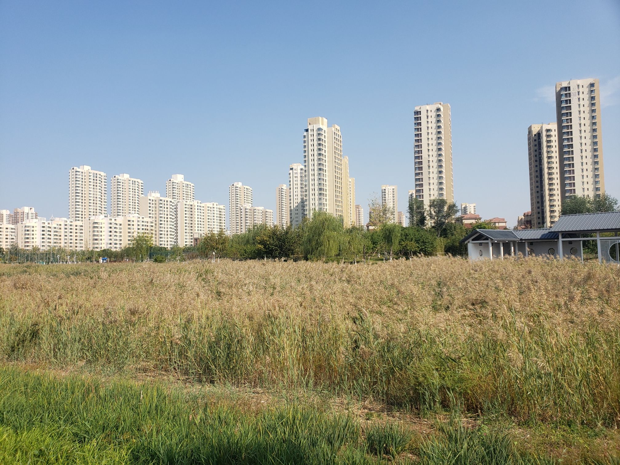 梅江公园二期旅行图片 2