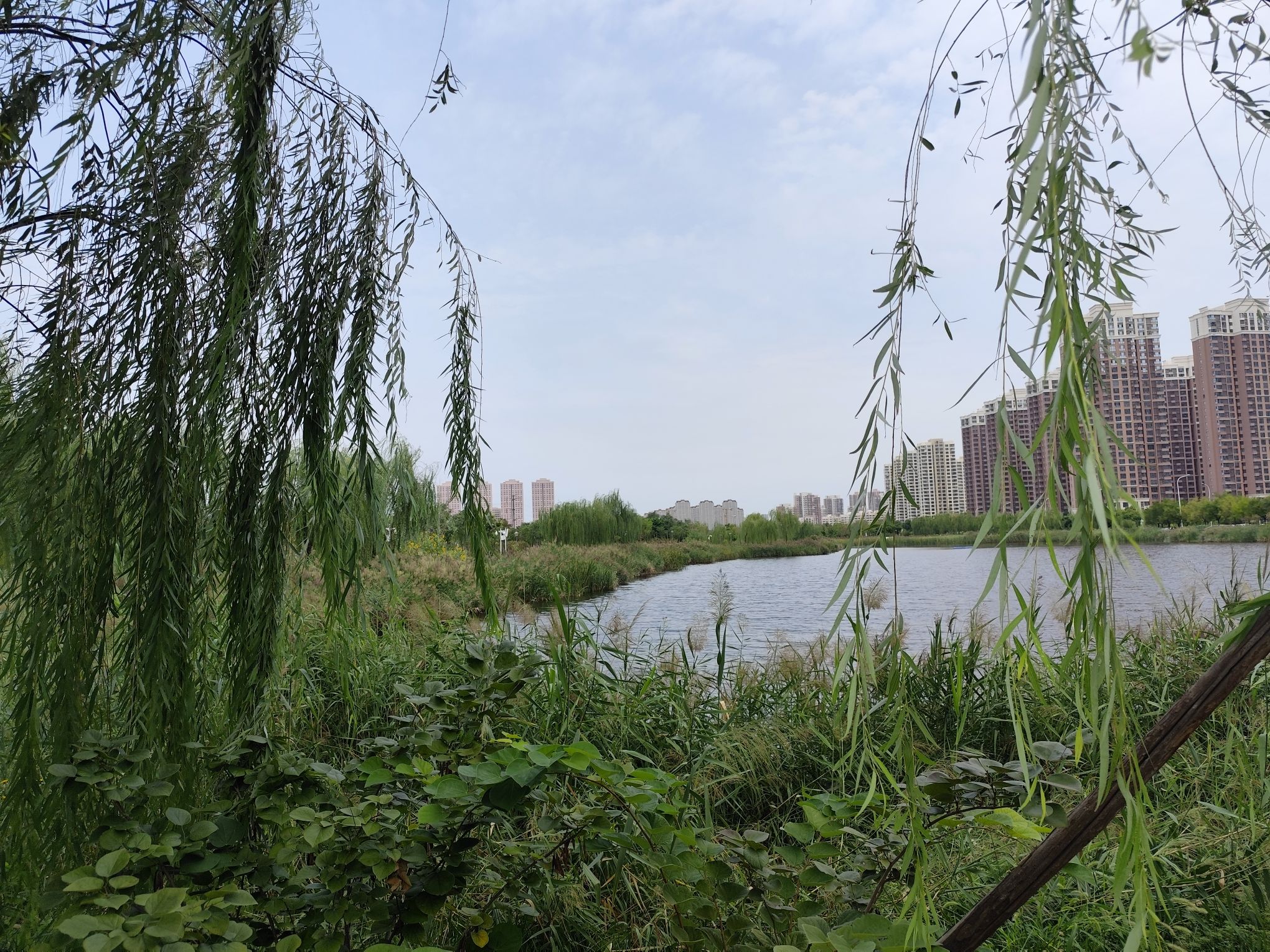 梅江公园二期旅行图片 1