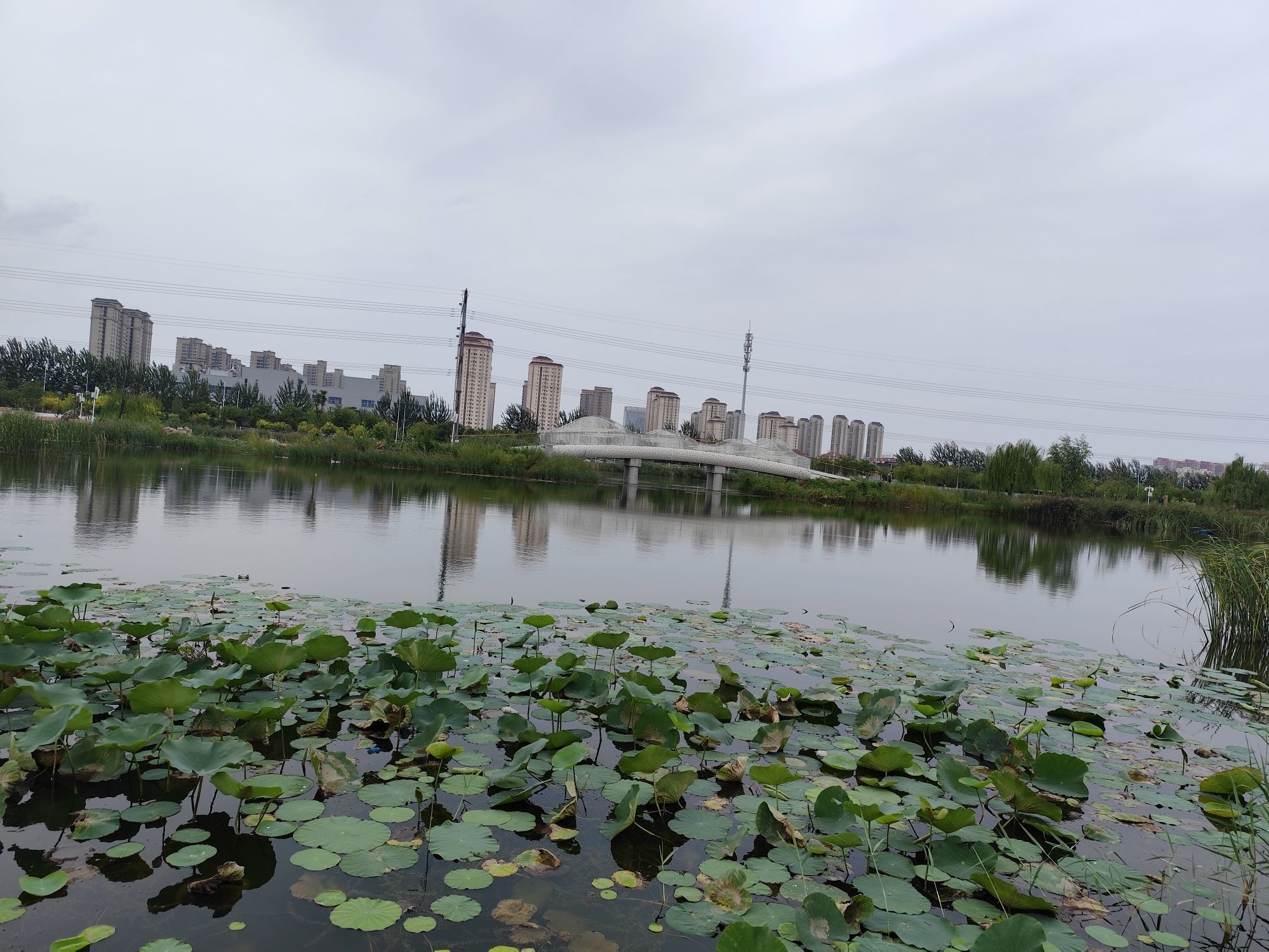 梅江公园二期旅行图片 3