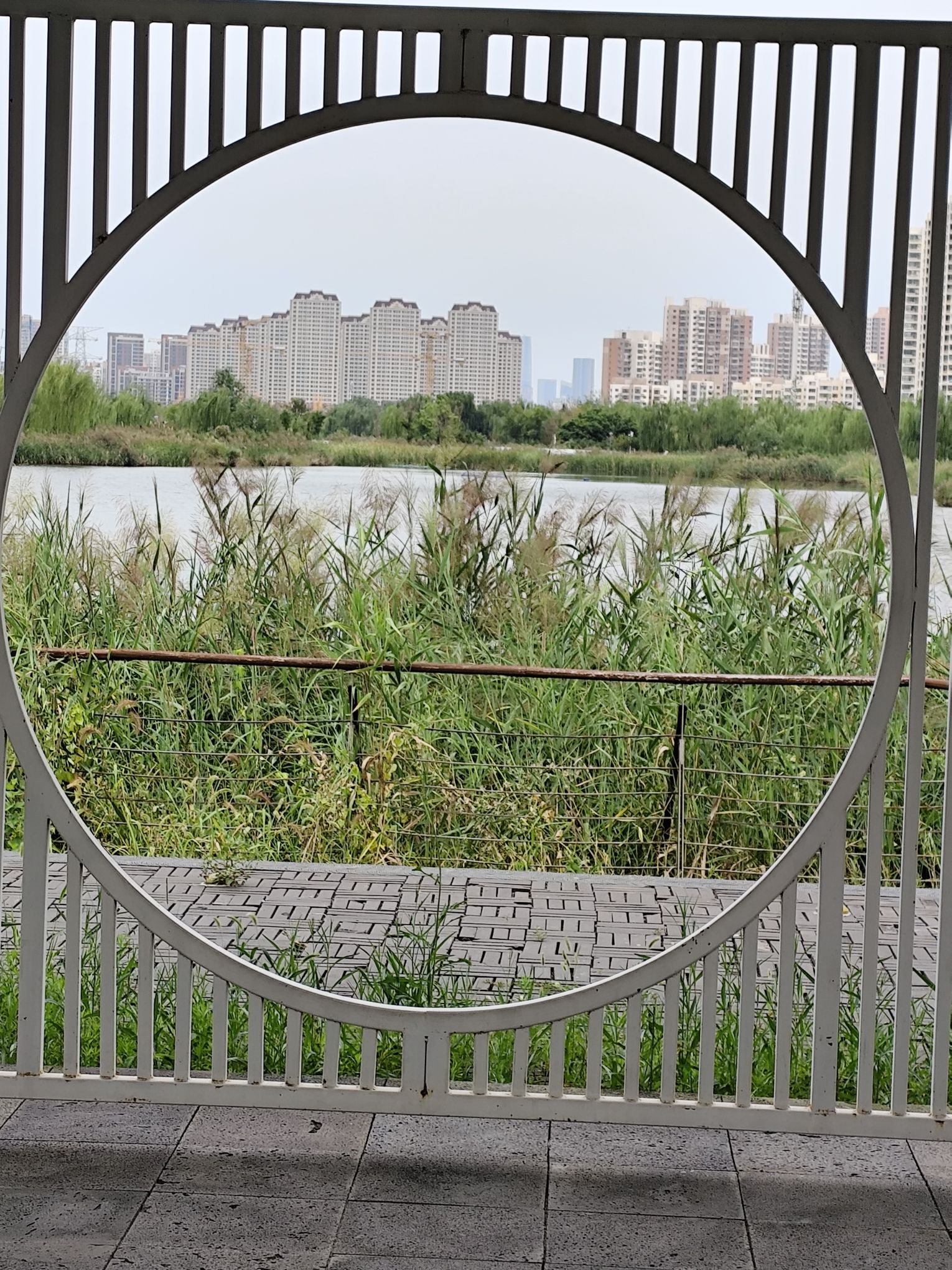 梅江公园二期旅行图片 2