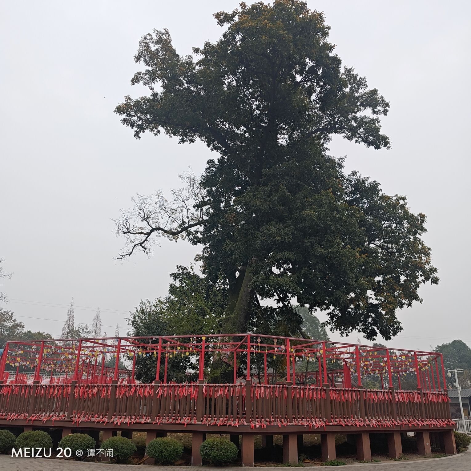 红豆幸福里旅行图片 2