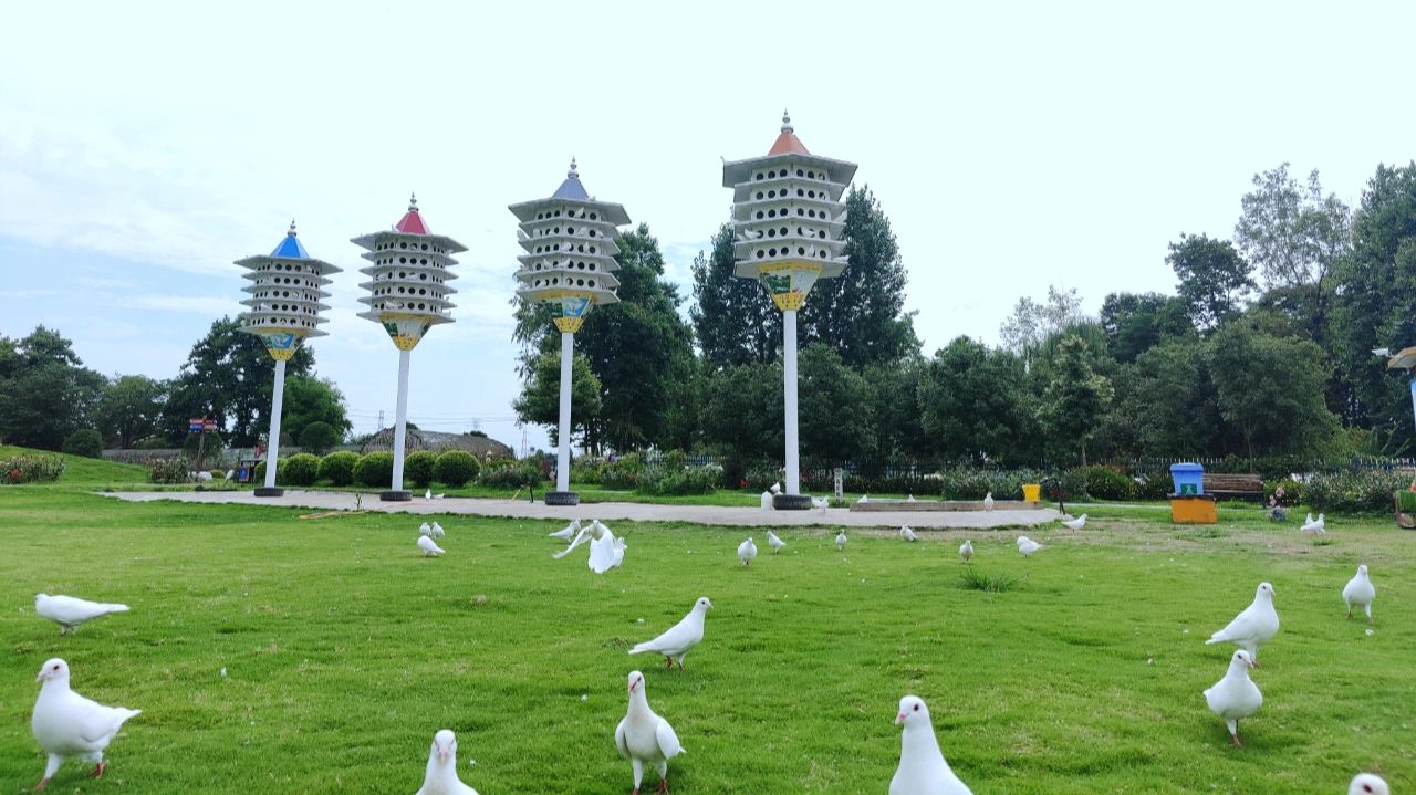 红豆幸福里旅行图片 3