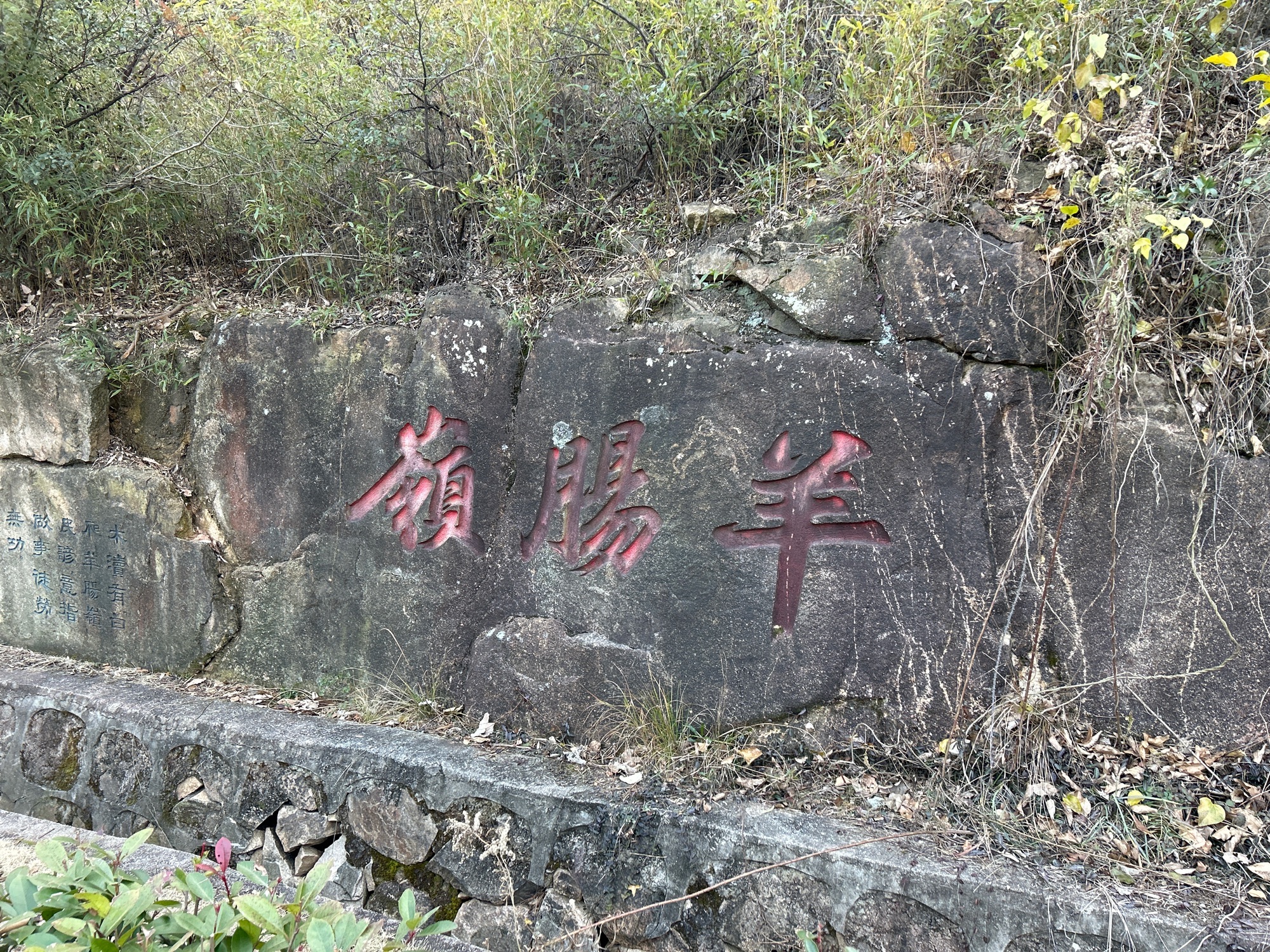羊肠岭旅行图片 1